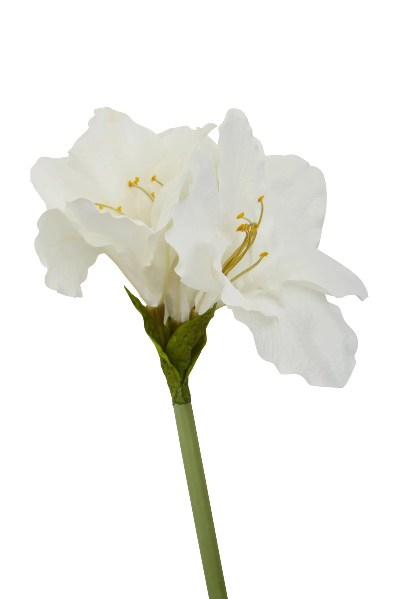 Fiori Ivory Amarylilis Flower Stem - Decorative, photo 4 of 7