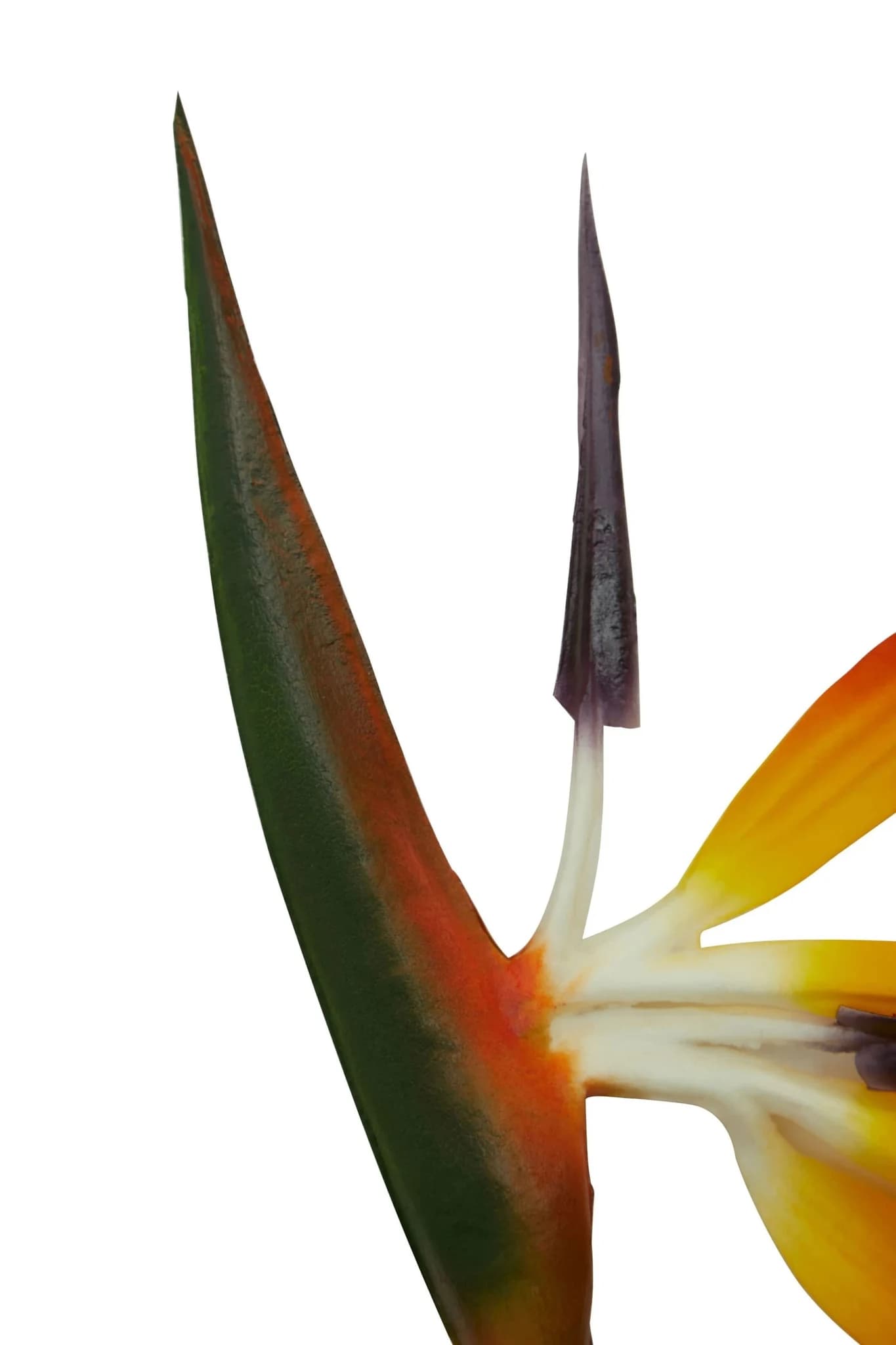 Fiori Tall Bird Of Paradise Flower Stem - Decorative, photo 3 of 6