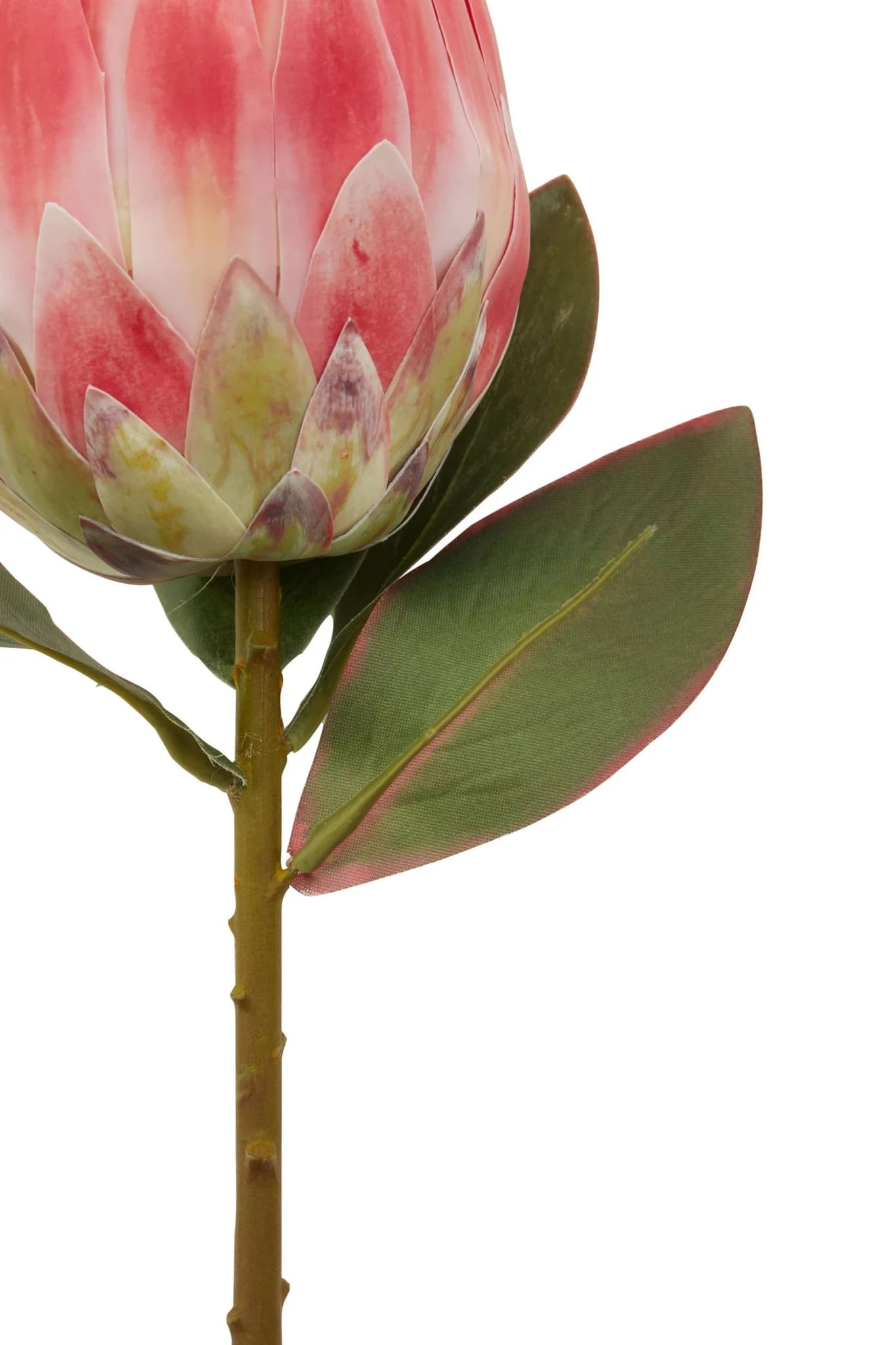 Fiori Pink Protea Flower Stem - Decorative, photo 4 of 7