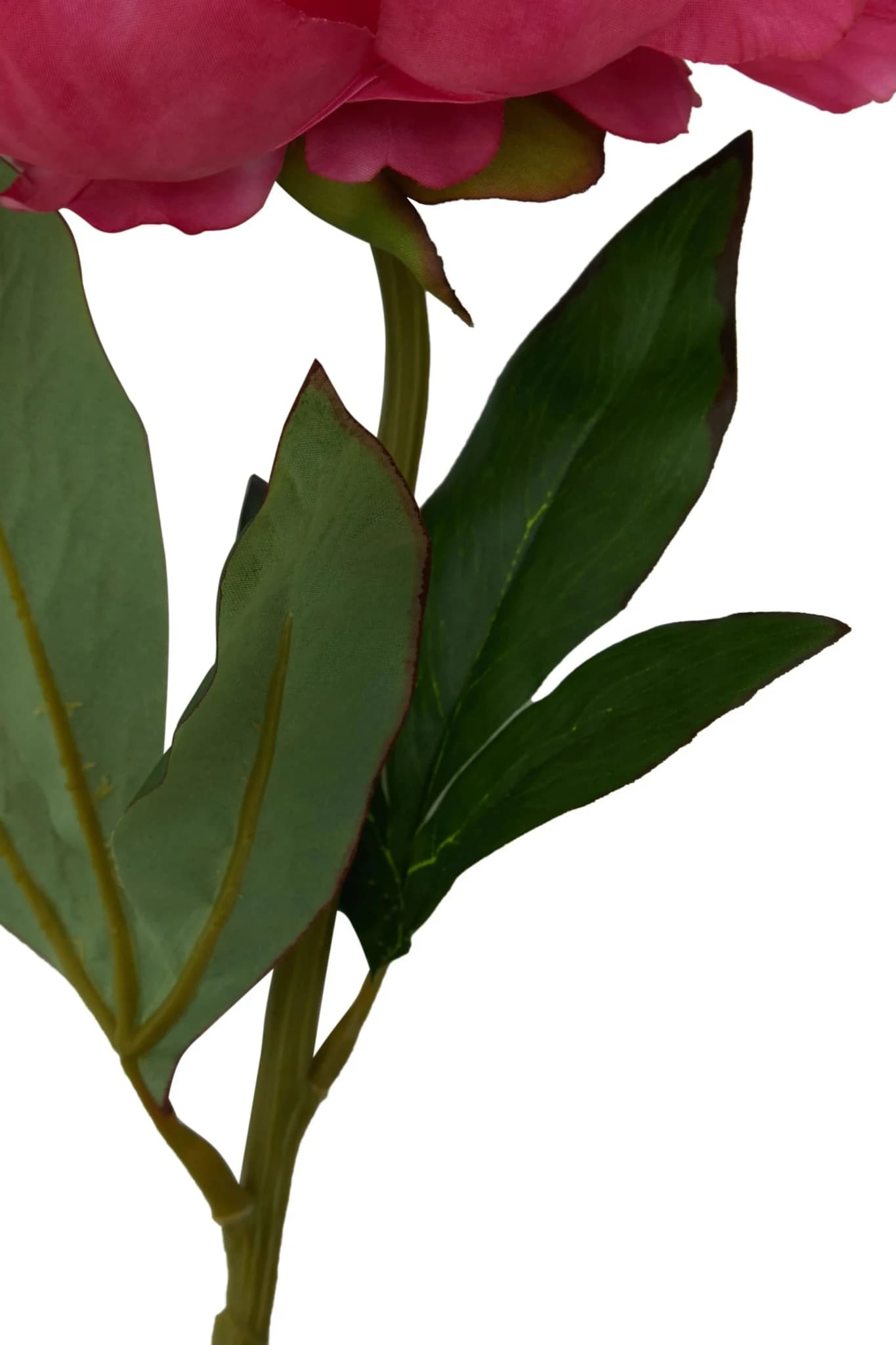 Fiori Fuchsia Peony Flower Stem - Decorative, photo 7 of 8