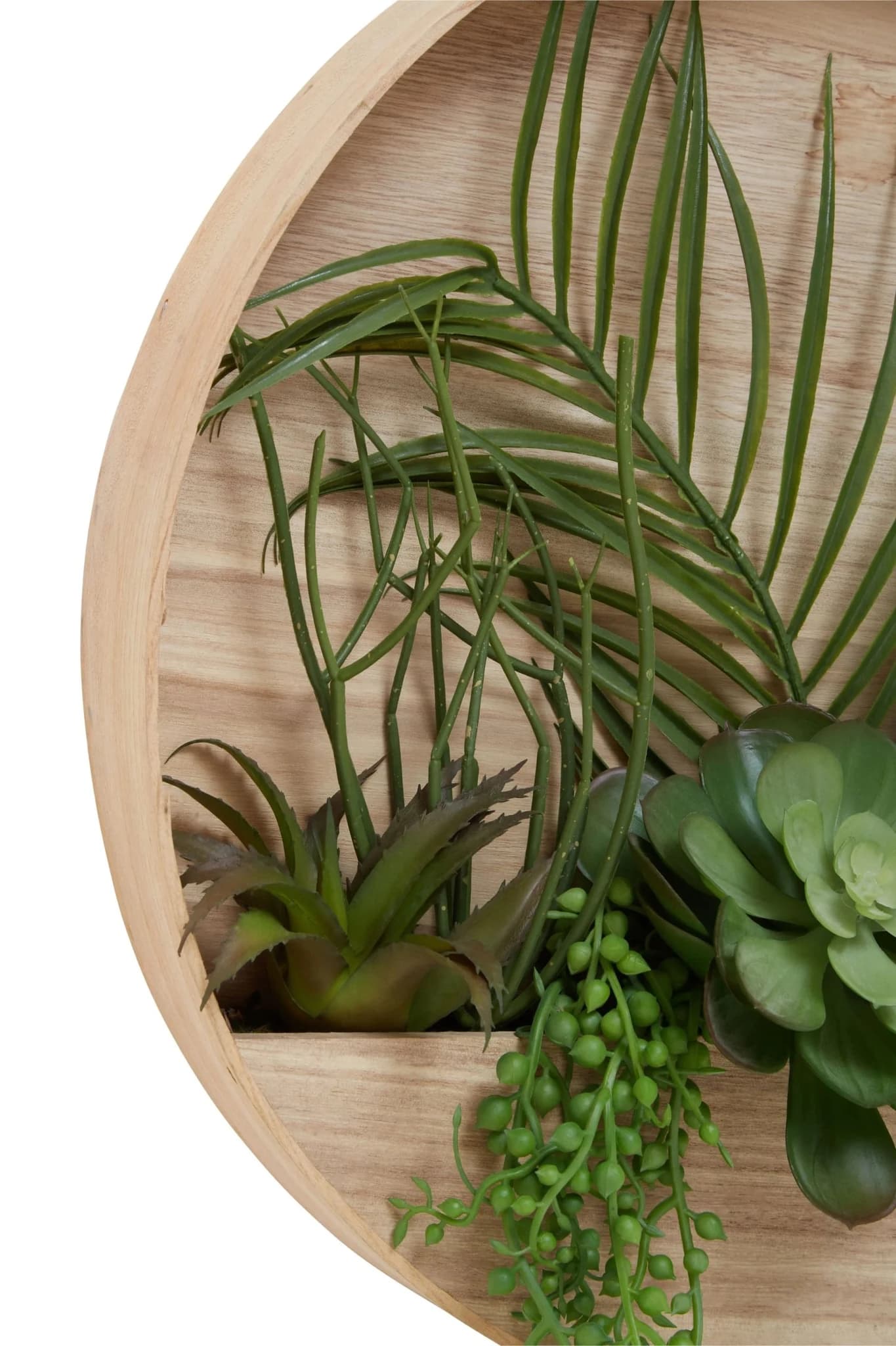 Fiori Mixed Succulents In Wood Wall Planter - Decorative, photo 8 of 8