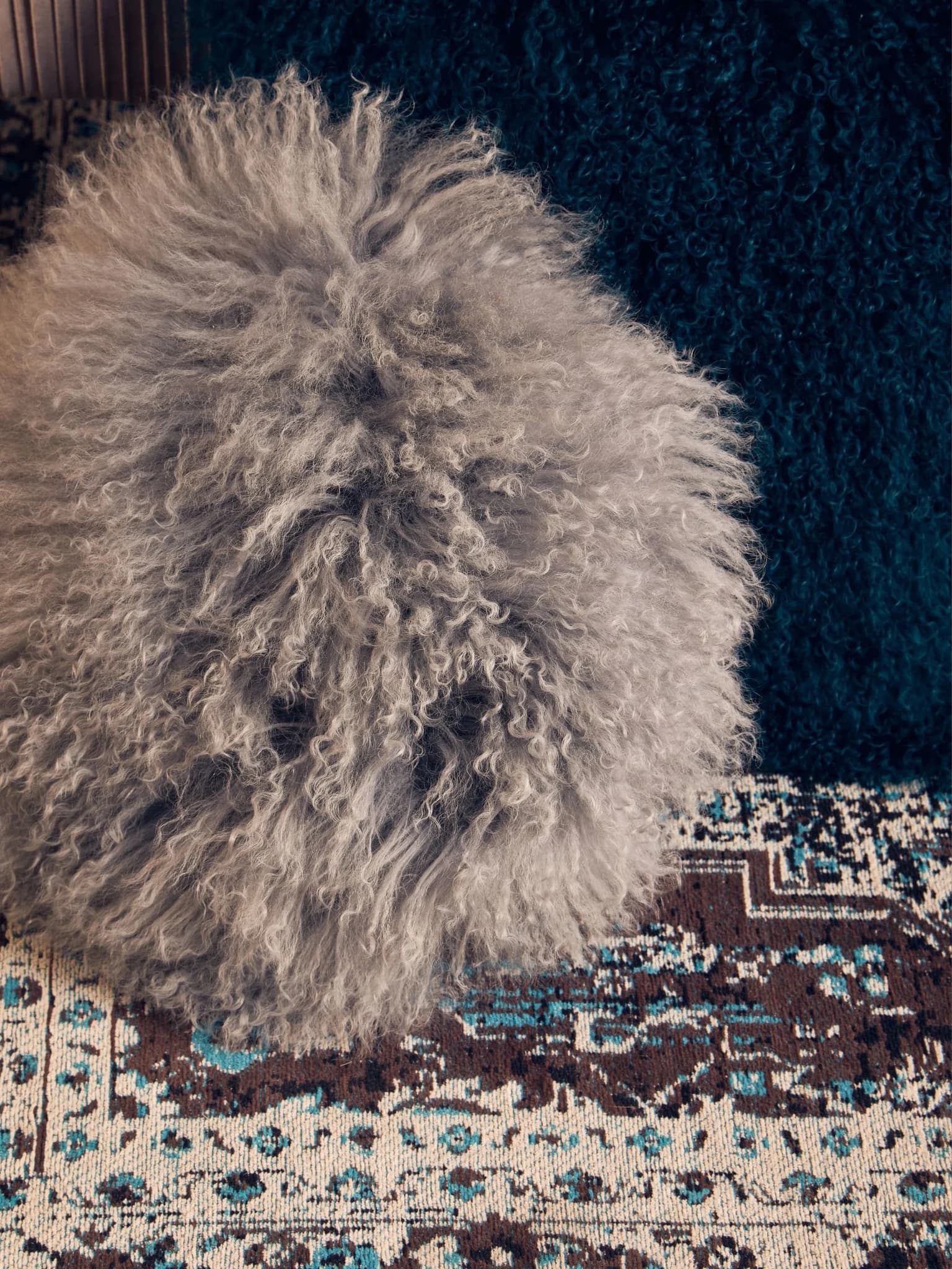 Bosie Real Mongolian Fur Grey Round Cushion - Decorative, photo 6 of 8