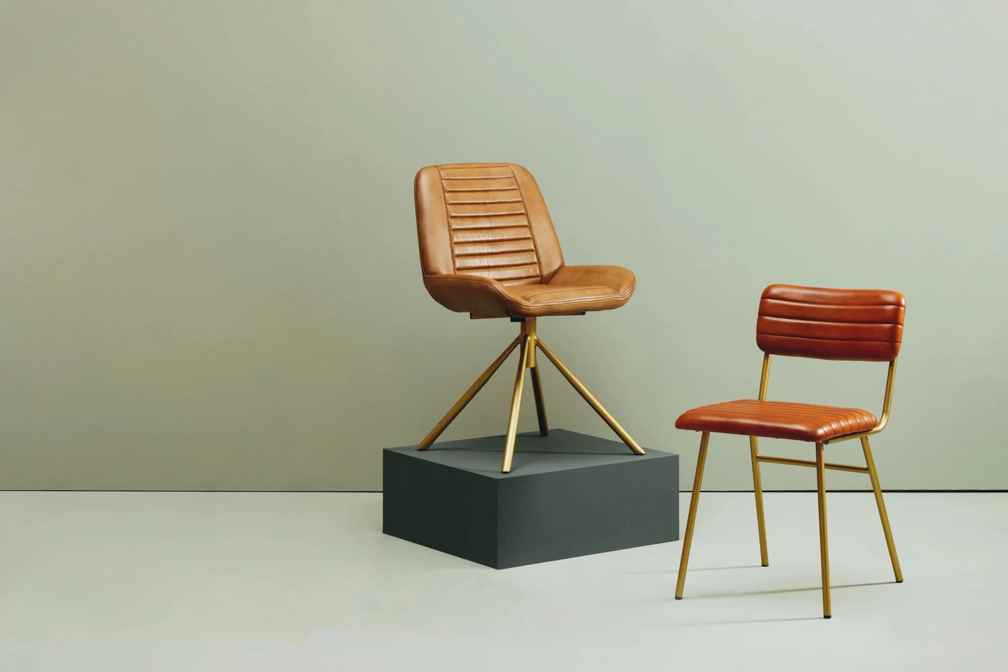 Buffalo Tan Leather Dining Chair With Gold Finish Frame - Seating, photo 6 of 8