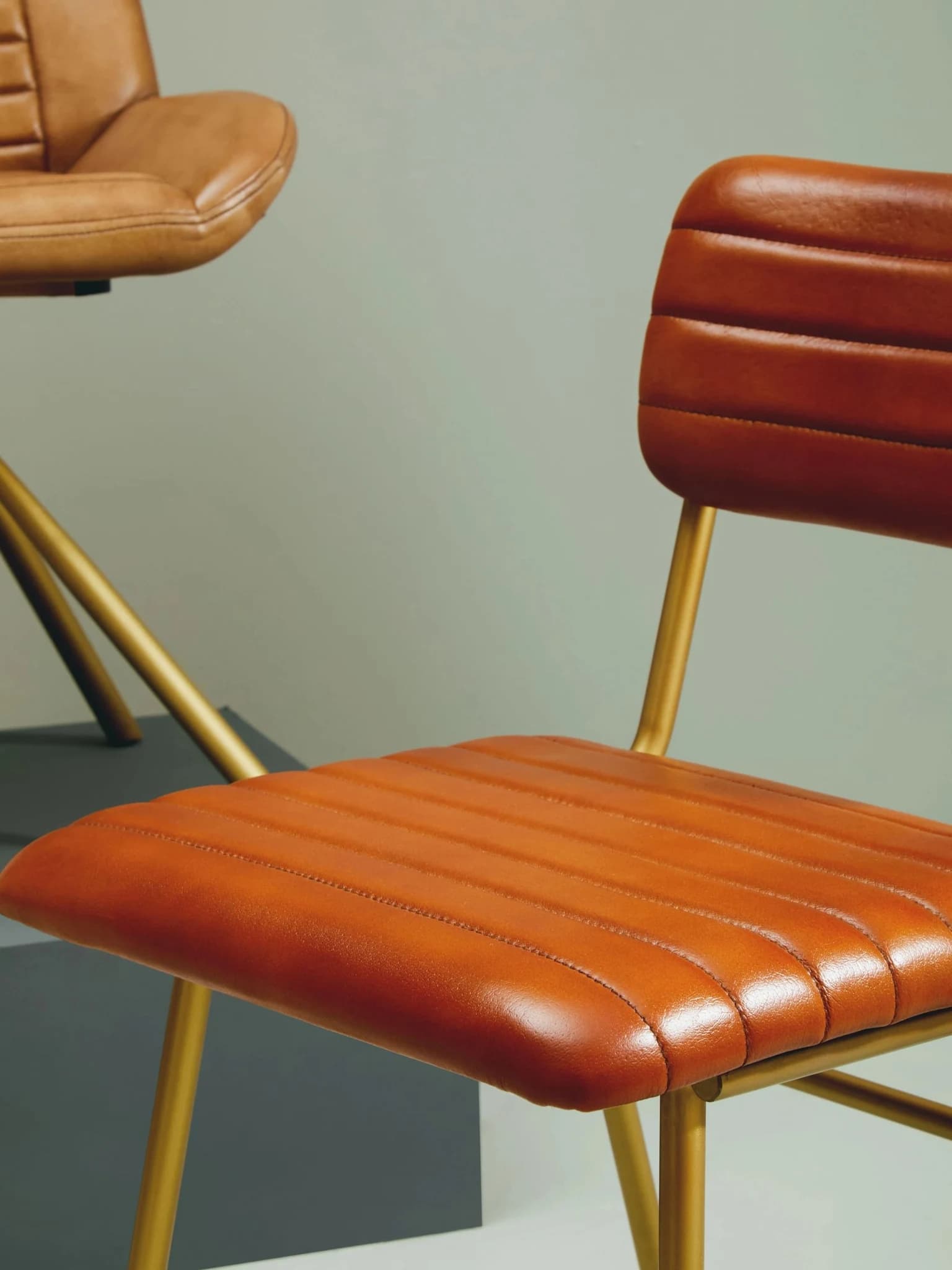 Buffalo Tan Leather Dining Chair With Gold Finish Frame - Seating, photo 5 of 8