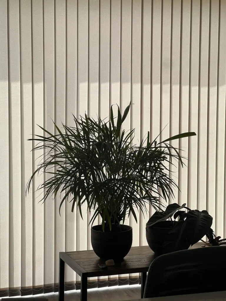 Cream vertical blinds across wide glazing