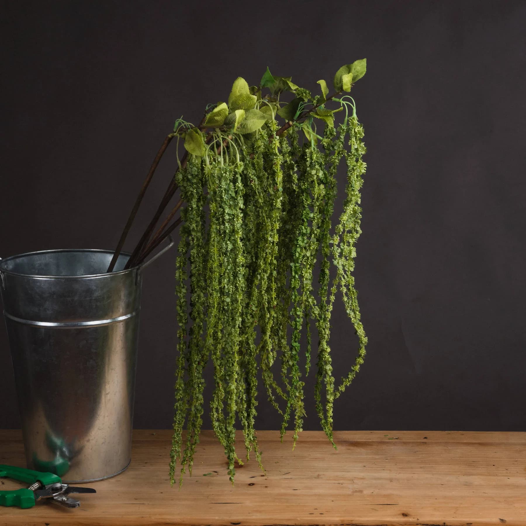 Green Amaranthus — Pack of 5 - Artificial plants & flowers, photo 2 of 6