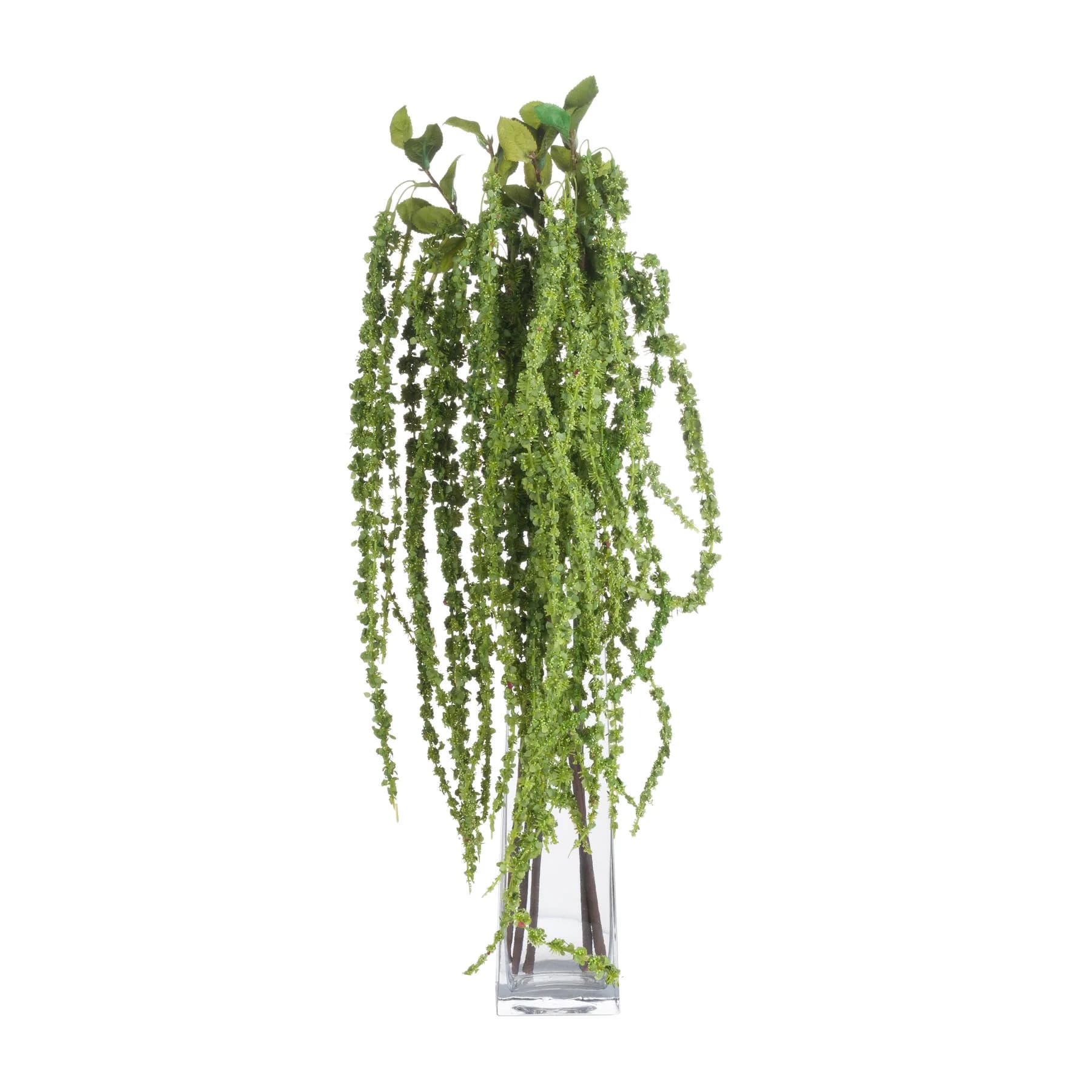 Green Amaranthus — Pack of 5 - Artificial plants & flowers, photo 5 of 6