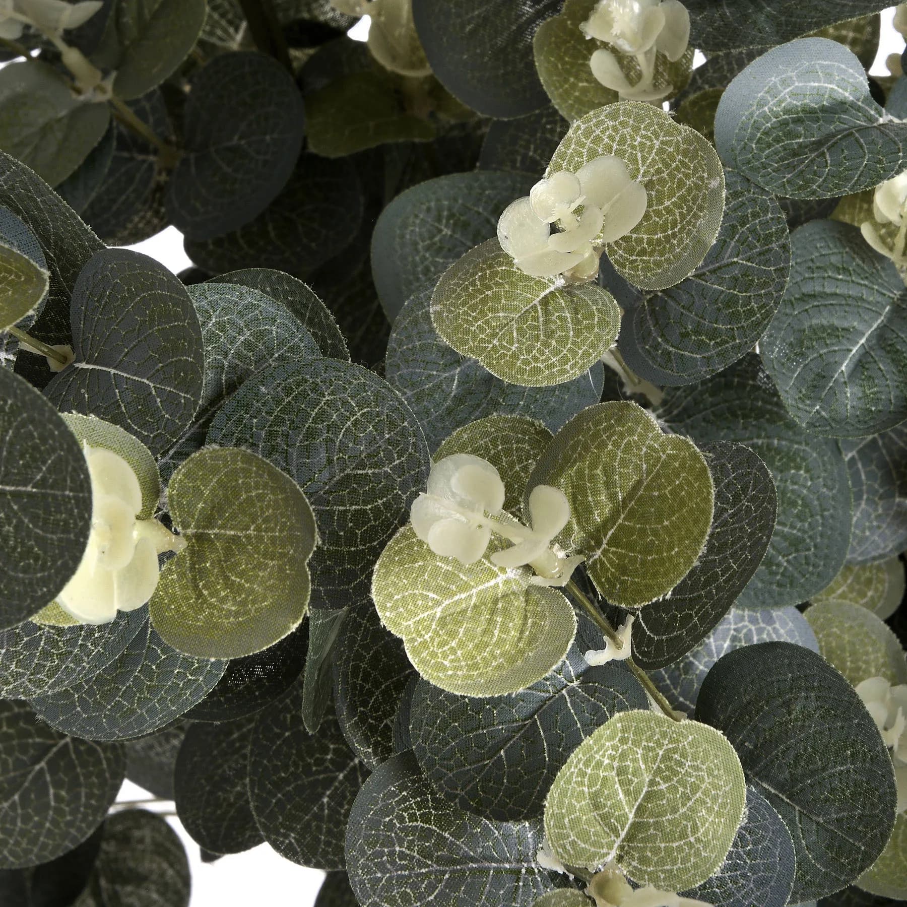 Eucalyptus Spray — Pack of 5 - Artificial plants & flowers, photo 6 of 7