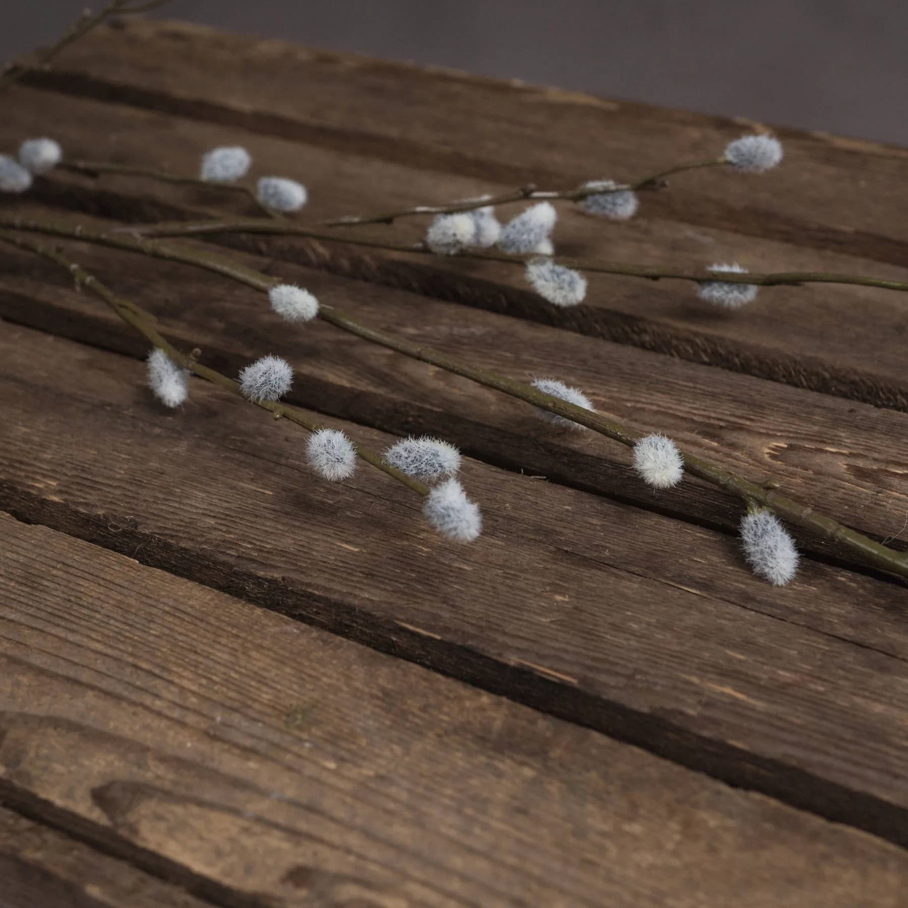 Pussy Willow Branch — Pack of 5 - Artificial plants & flowers, photo 2 of 7