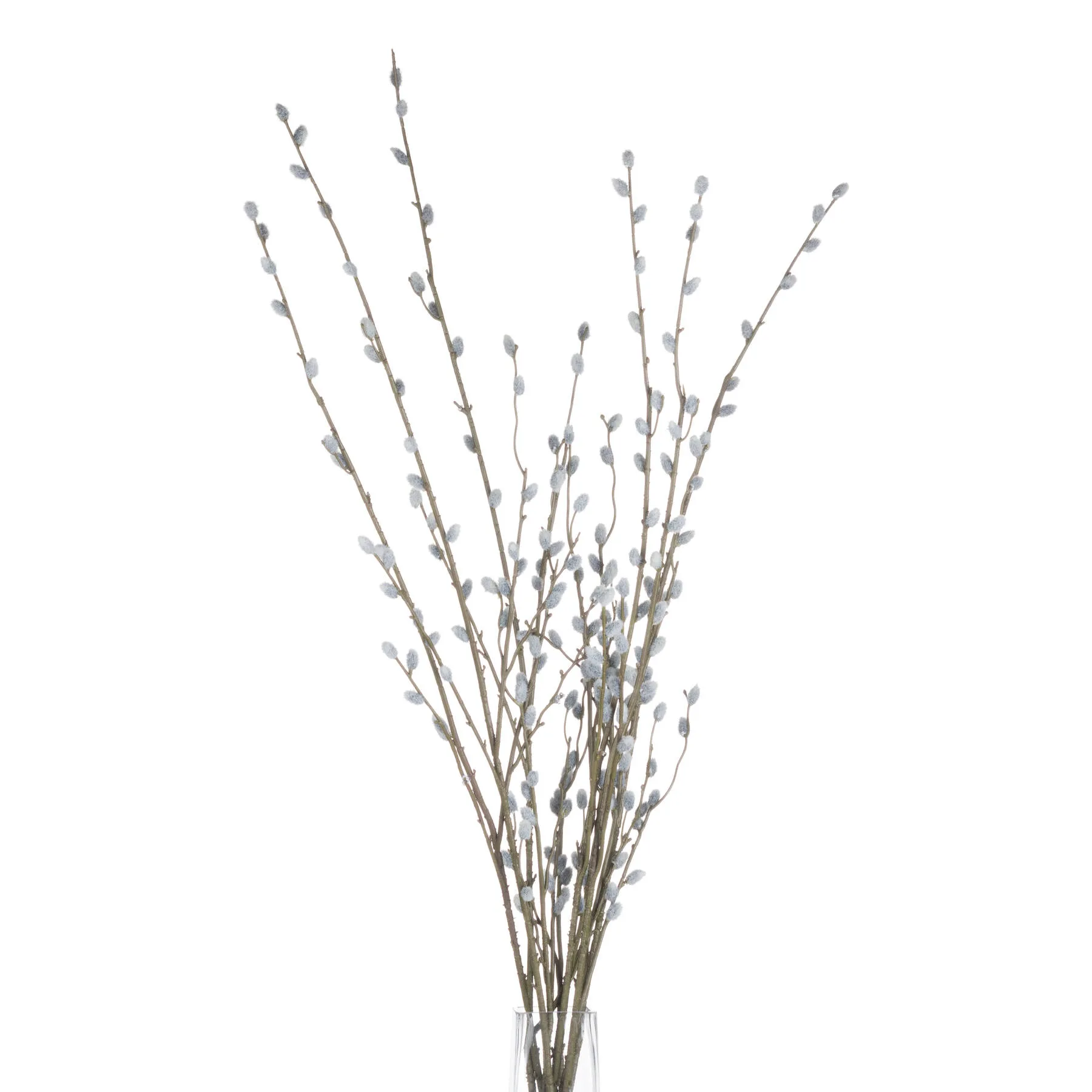 Pussy Willow Branch — Pack of 5 - Artificial plants & flowers, photo 4 of 7