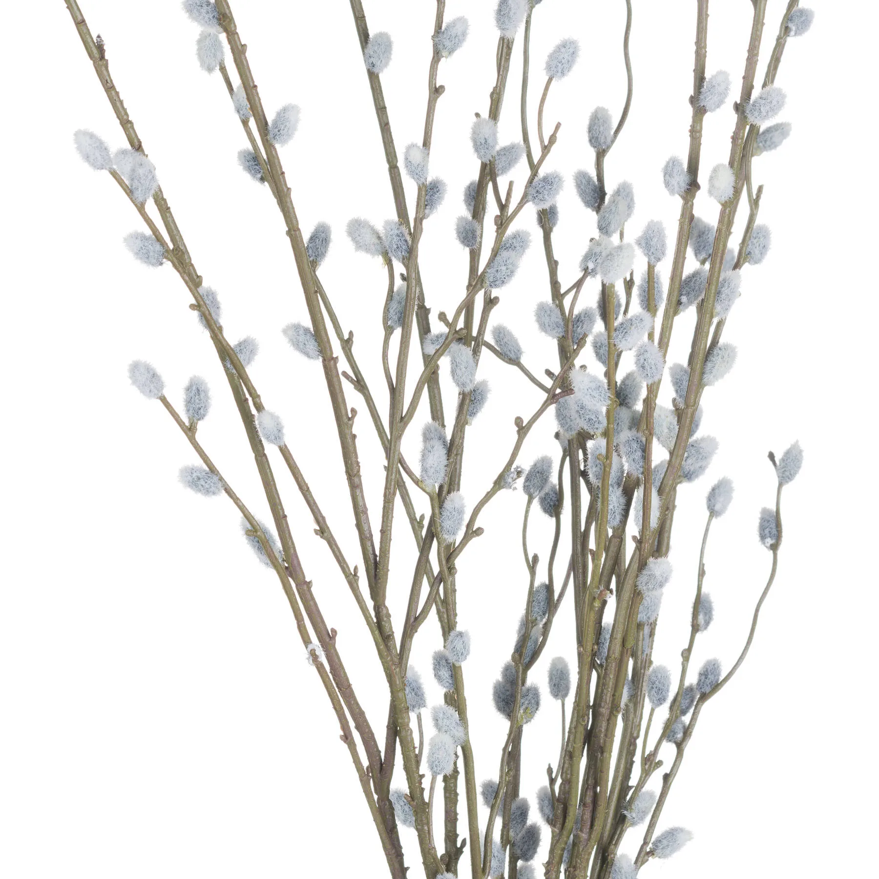 Pussy Willow Branch — Pack of 5 - Artificial plants & flowers, photo 6 of 7