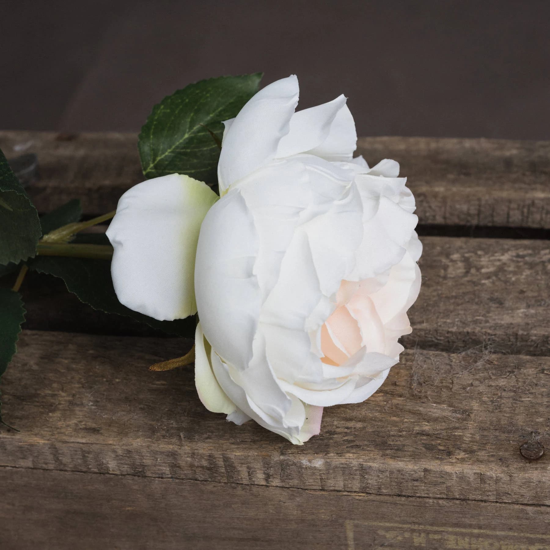 Blush Garden Rose — Pack of 5 - Artificial plants & flowers, photo 3 of 5