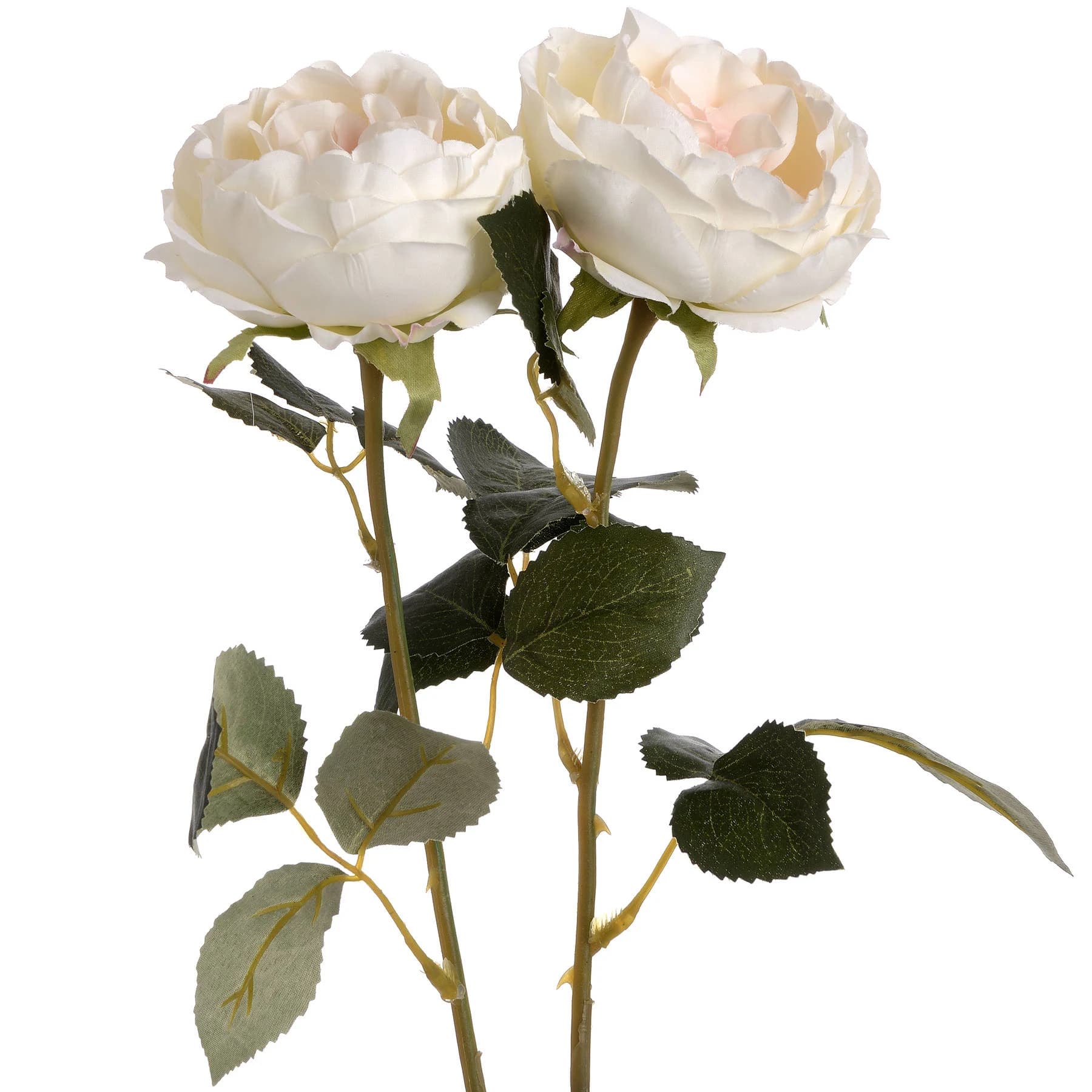 Blush Garden Rose — Pack of 5 - Artificial plants & flowers, photo 4 of 5