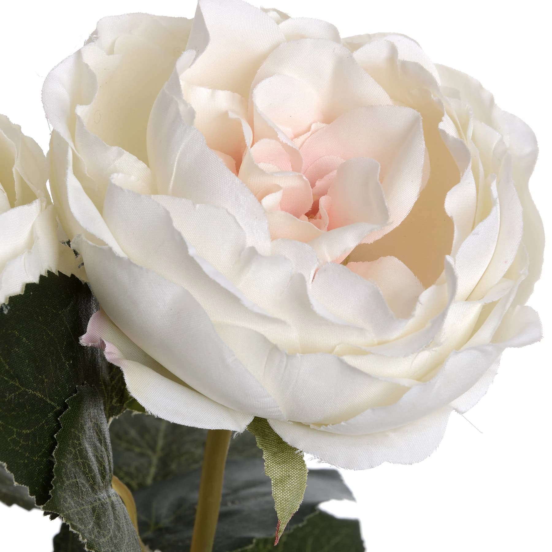 Blush Garden Rose — Pack of 5 - Artificial plants & flowers, photo 5 of 5