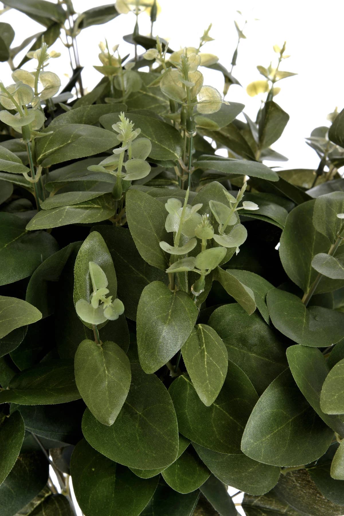 Cineraria Eucalyptus Spray — Pack of 5 - Artificial plants & flowers, photo 5 of 5