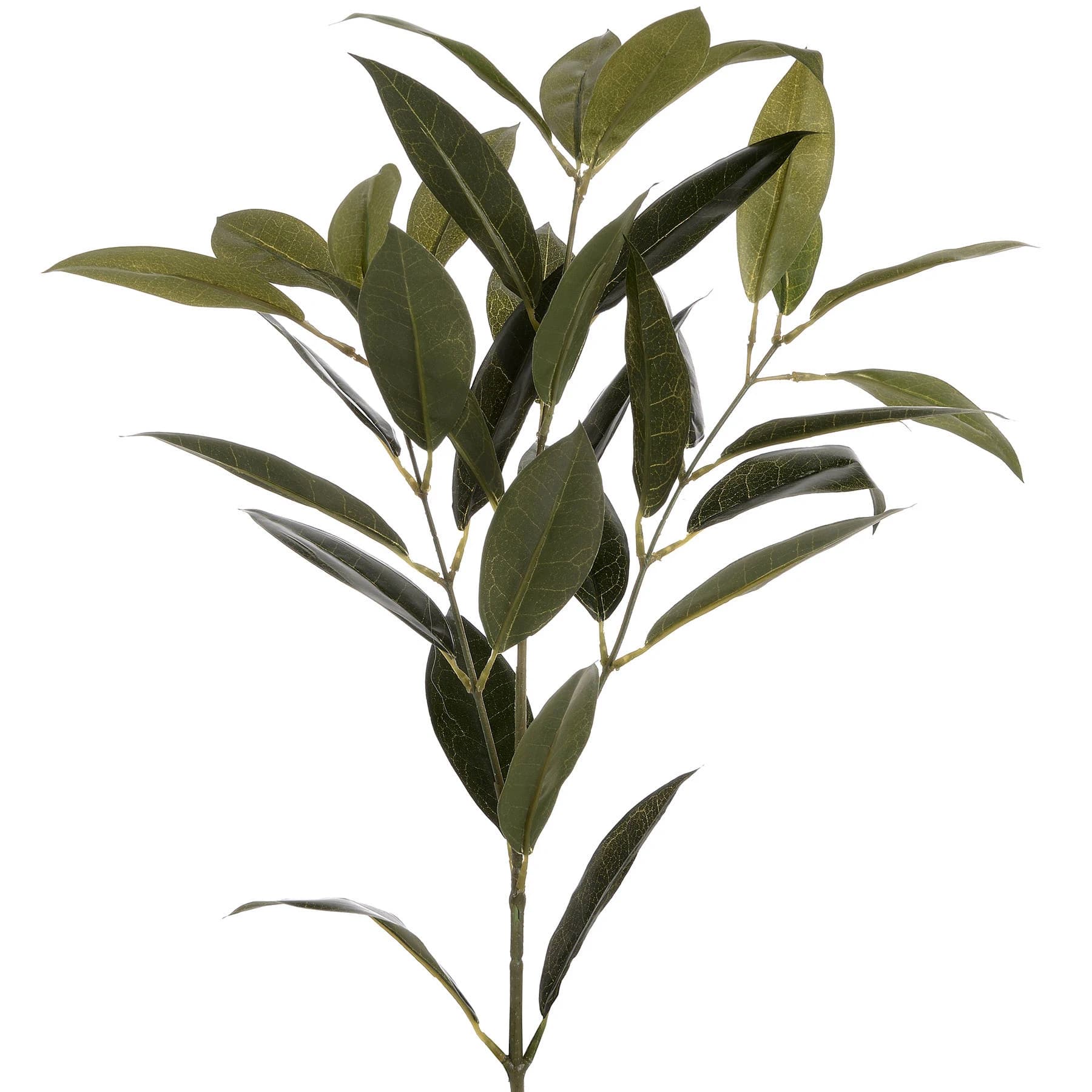 Faux Bay Leaf Spray — Pack of 5 - Artificial plants & flowers, photo 4 of 5