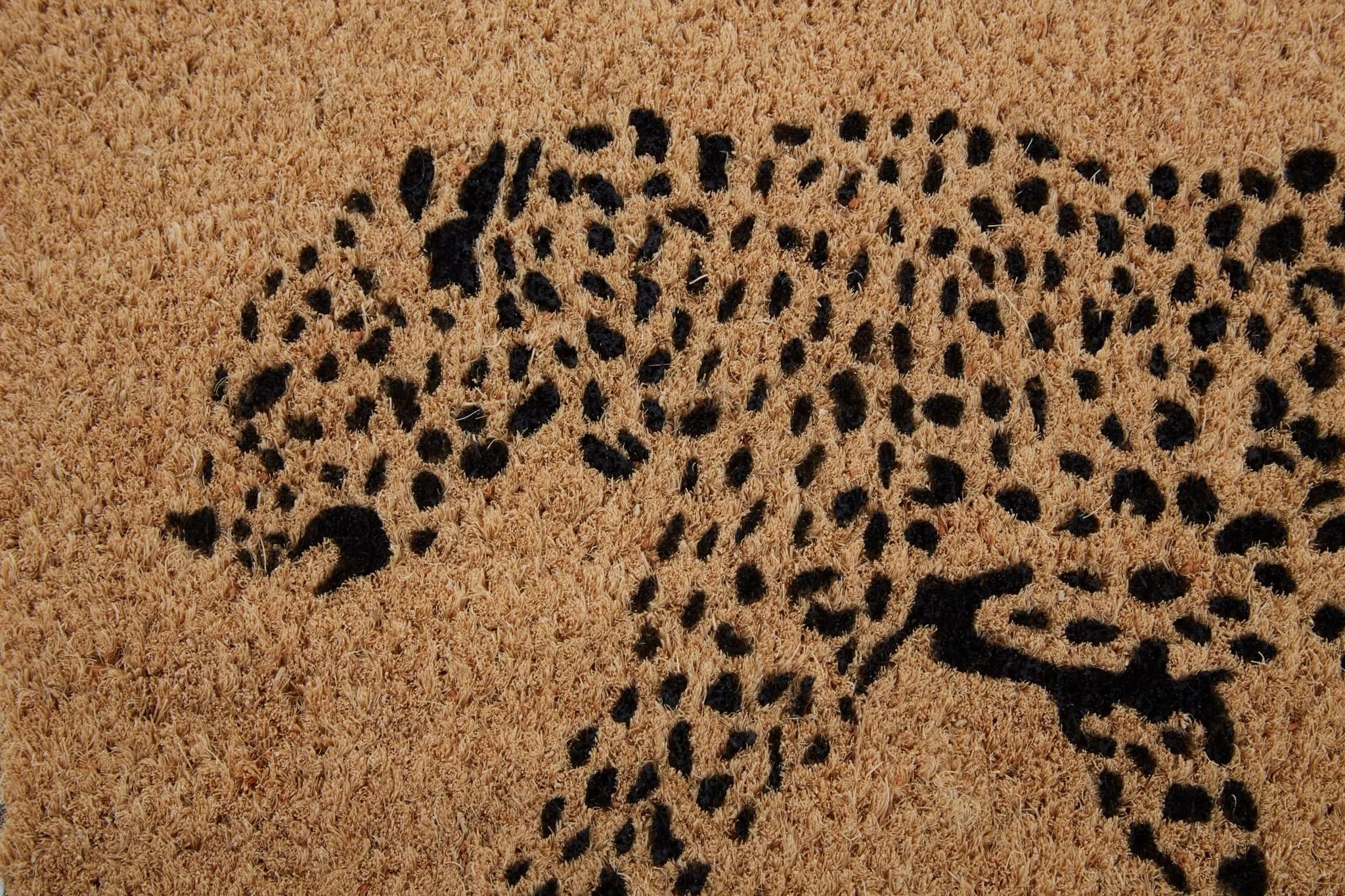 Filta Leopard Doormat - Decorative, photo 5 of 5
