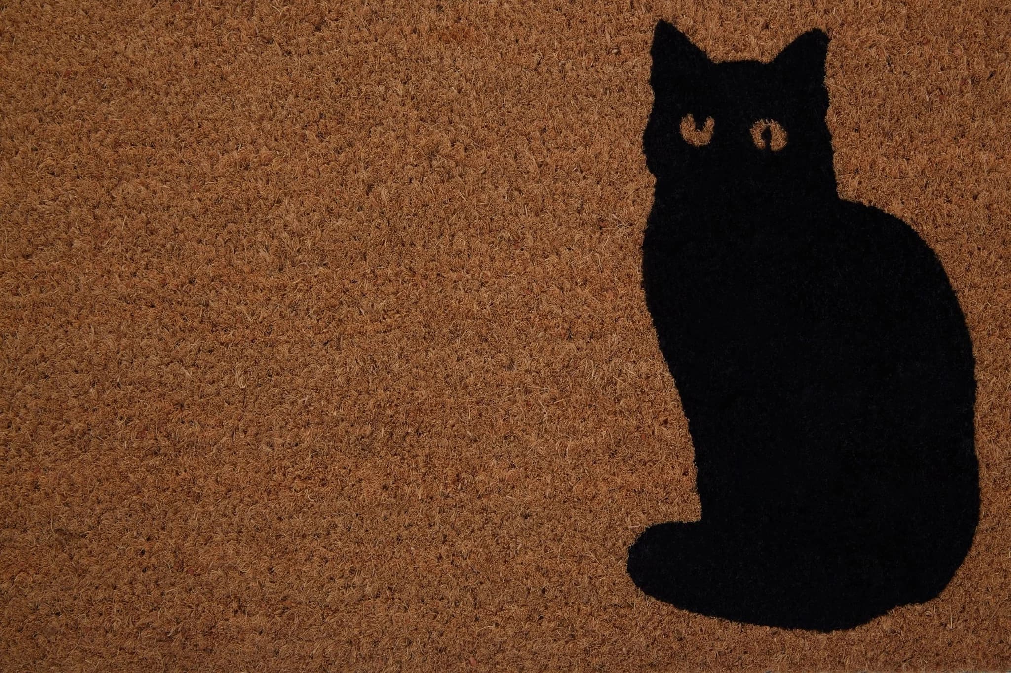 Filta Coir Cat Doormat - Decorative, photo 4 of 6