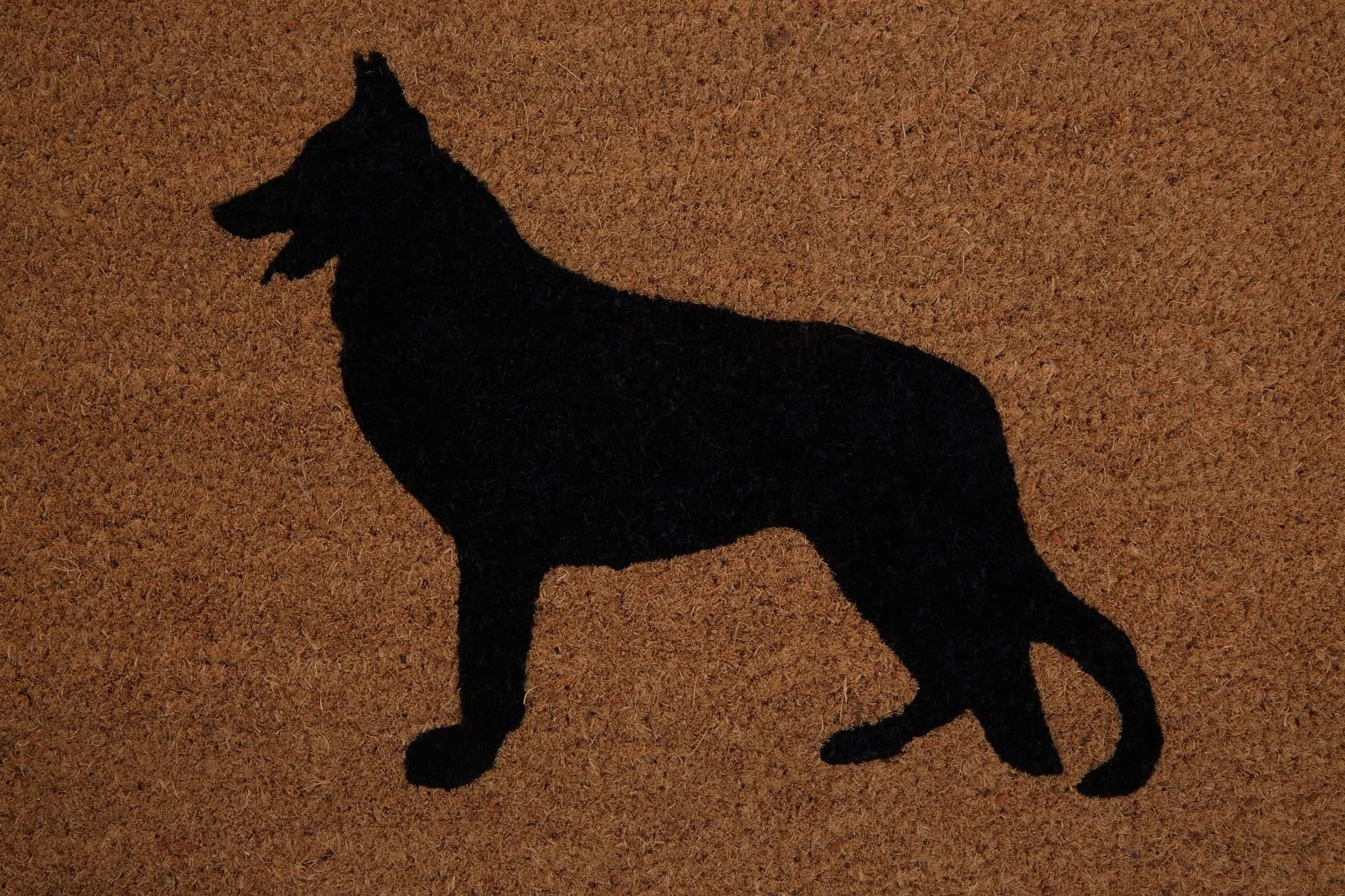 Filta German Shepherd Dog Coir Doormat - Decorative, photo 4 of 6