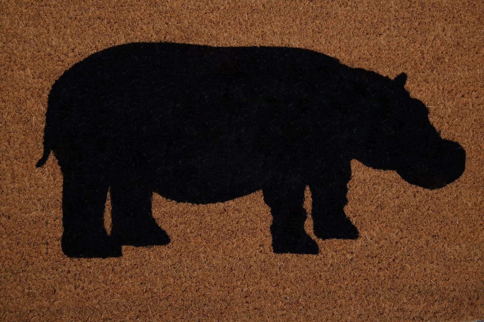Filta Hippo Doormat - Decorative, photo 4 of 6
