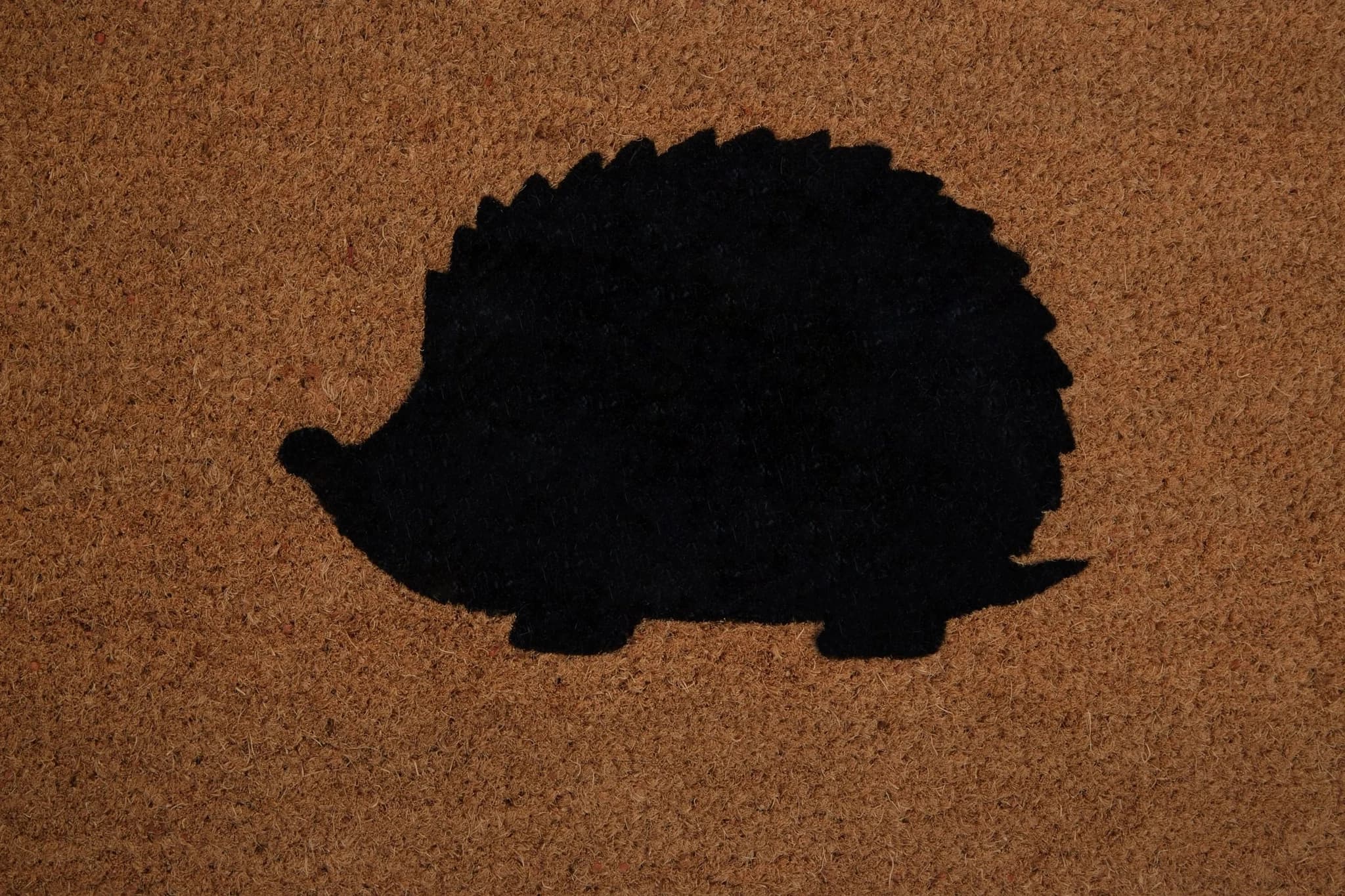 Filta Hedgehog Doormat - Decorative, photo 3 of 5
