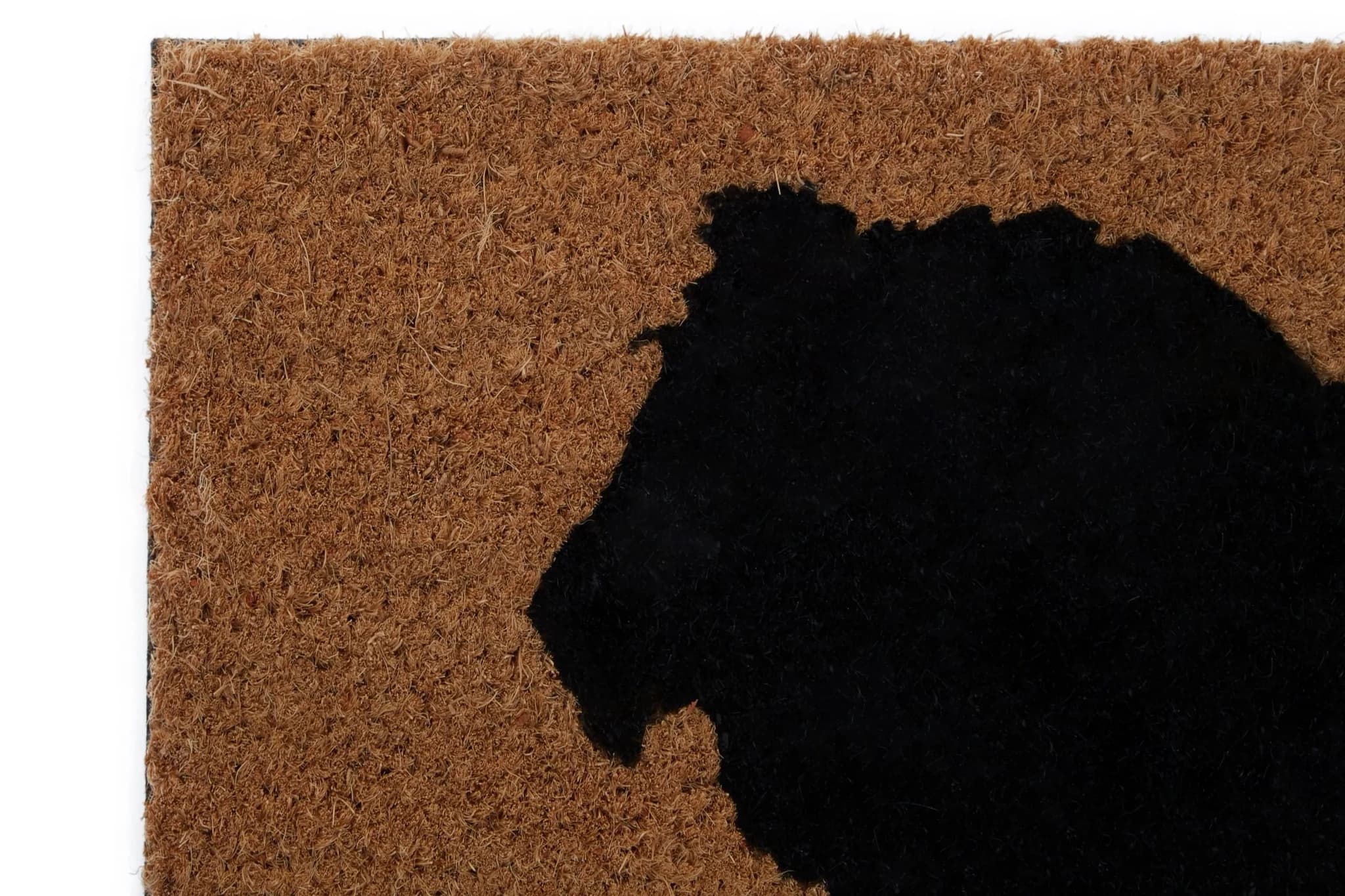 Filta Lion Doormat - Decorative, photo 5 of 5