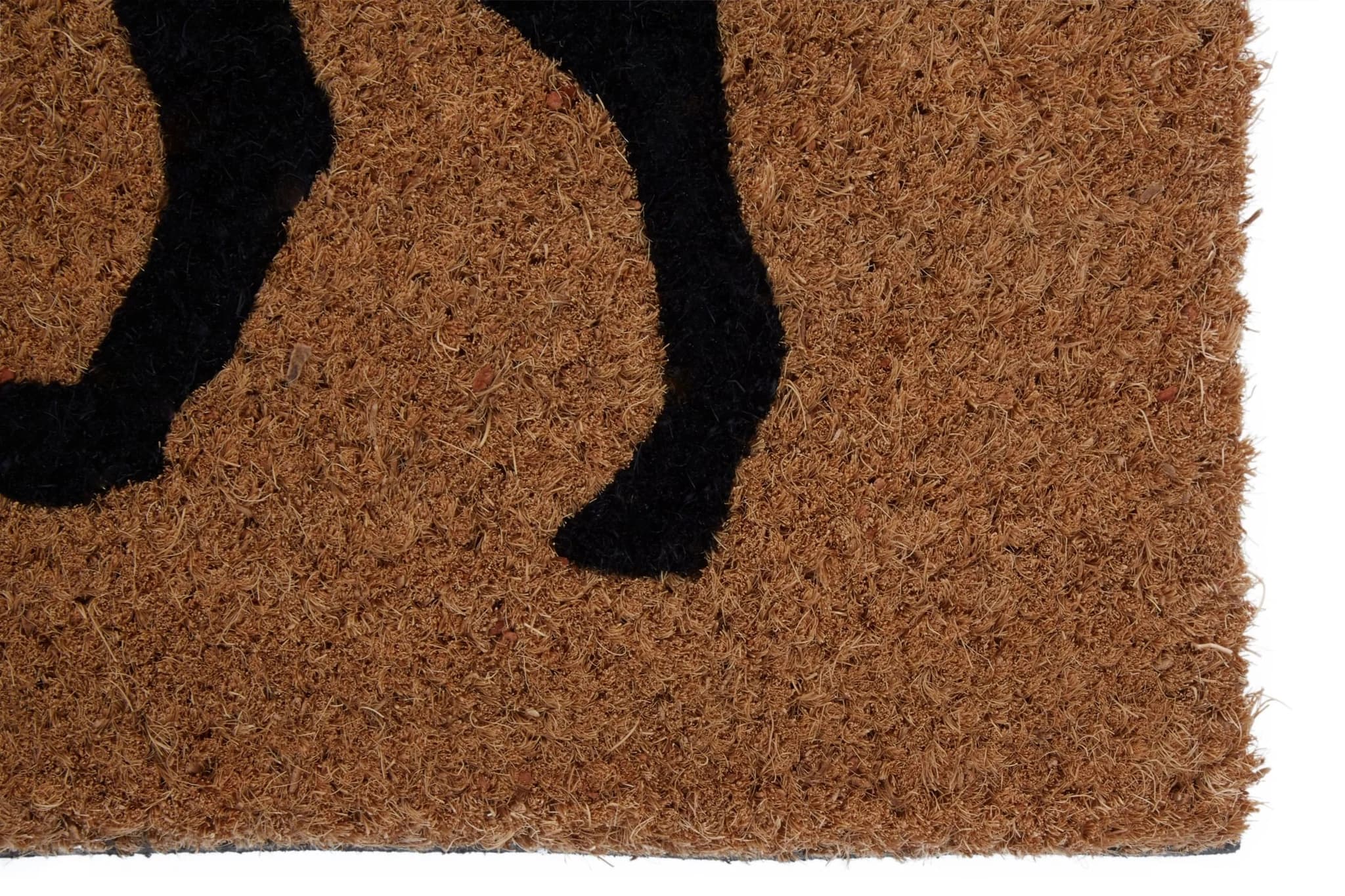 Filta Lion Doormat - Decorative, photo 4 of 5