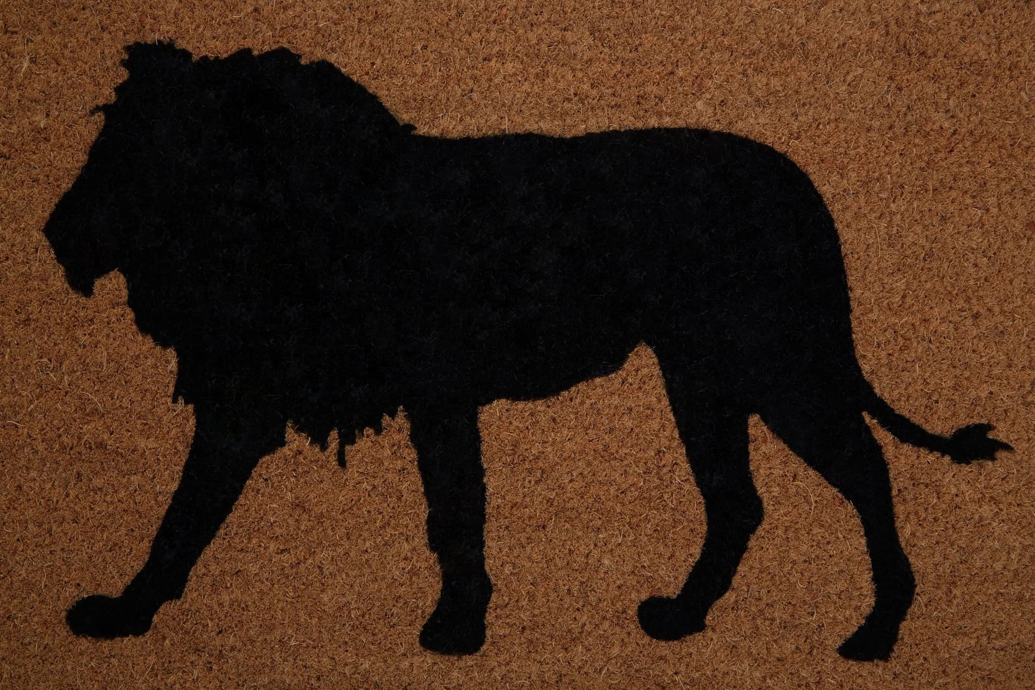 Filta Lion Doormat - Decorative, photo 3 of 5