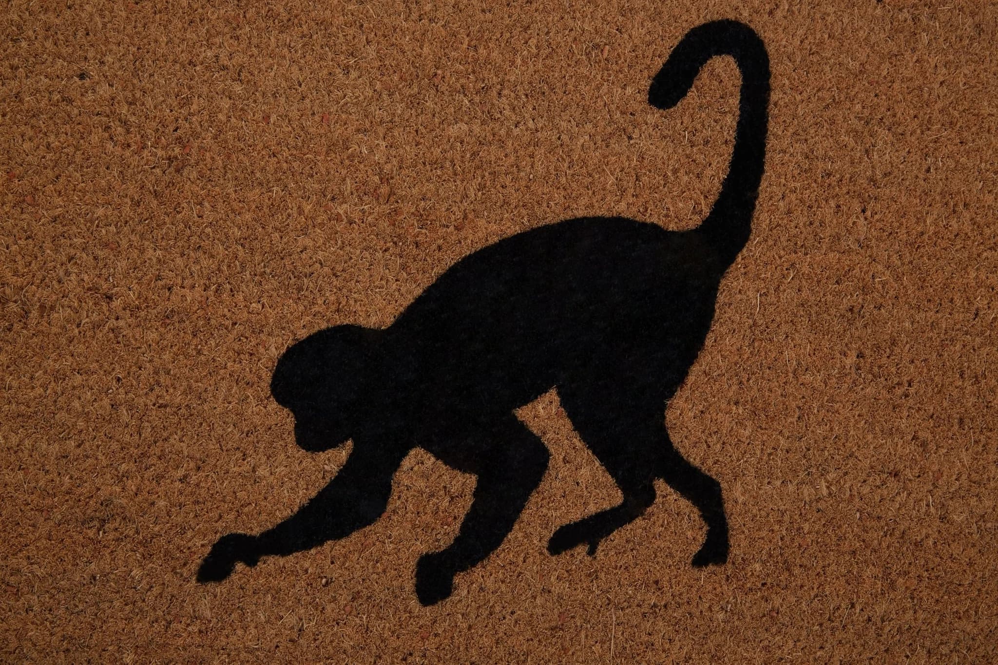 Filta Monkey Doormat - Decorative, photo 3 of 5