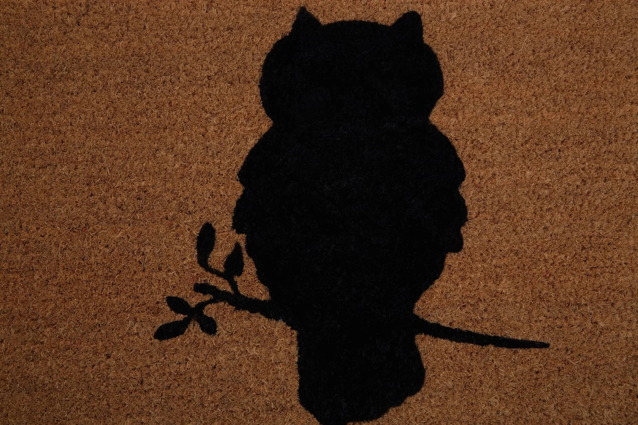 Filta Owl Doormat - Decorative, photo 5 of 7