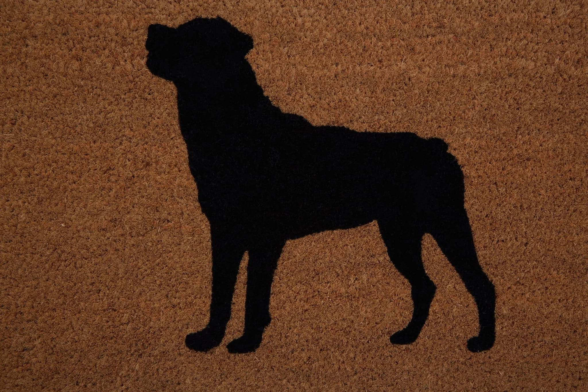 Filta Rottweiler Dog Coir Doormat - Decorative, photo 3 of 5