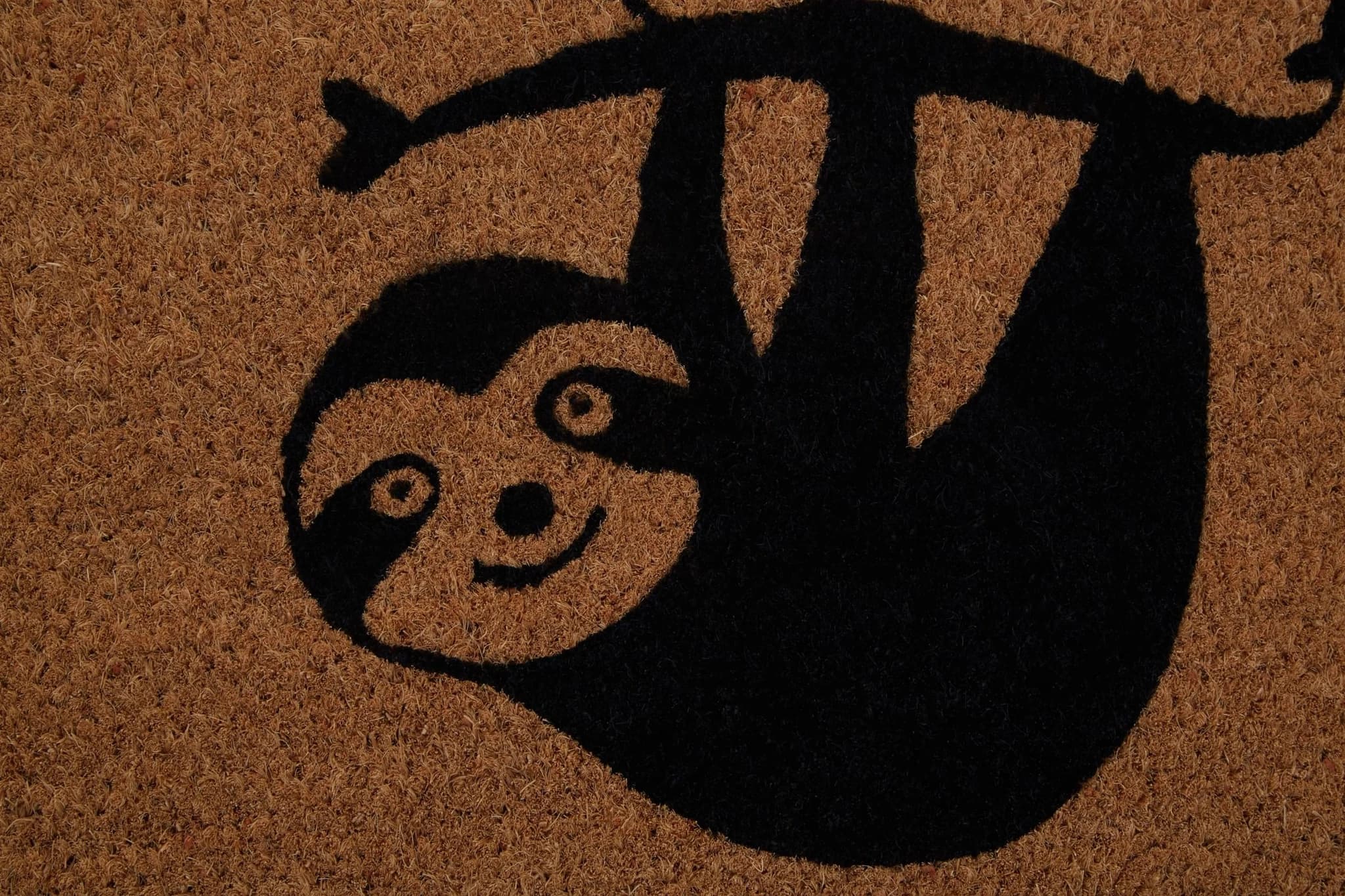 Filta Baby Sloth Doormat - Decorative, photo 4 of 6
