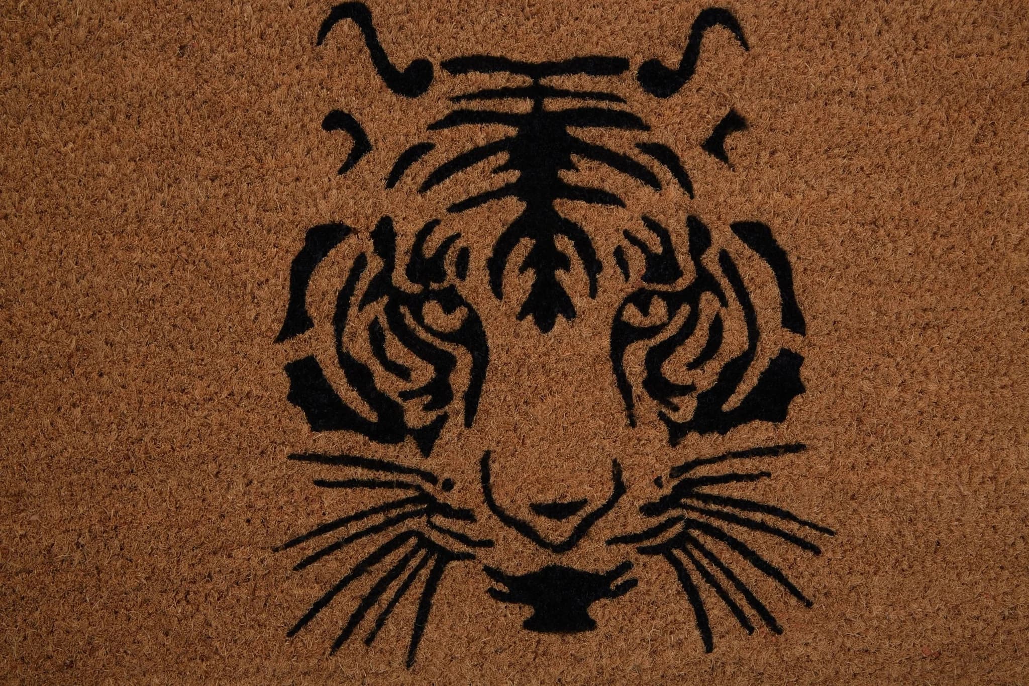 Filta Tiger Face Doormat - Decorative, photo 3 of 5