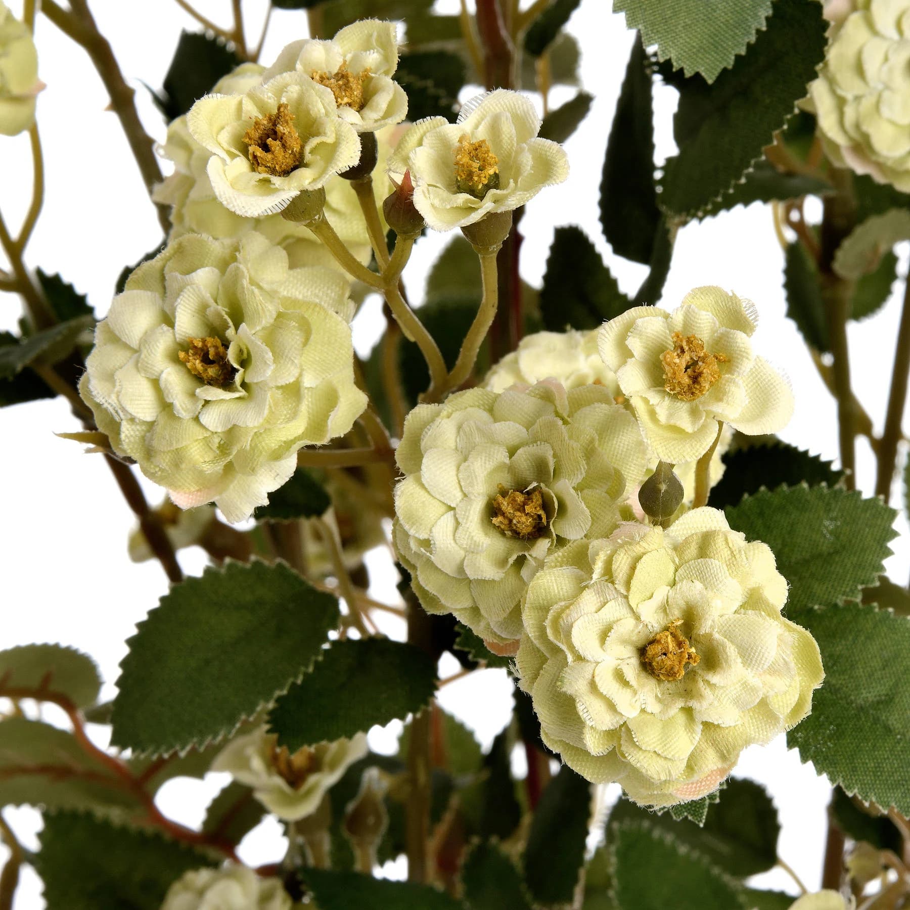 Green Wild Meadow Rose — Pack of 5 - Artificial plants & flowers, photo 5 of 5