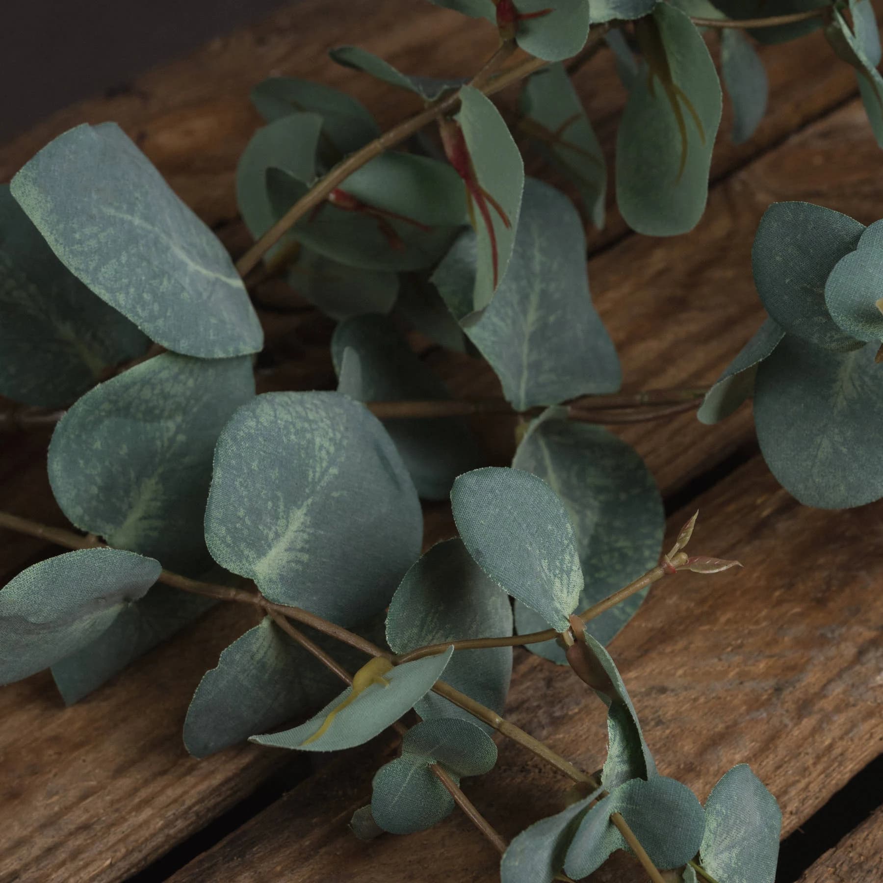 Variegated Eucalyptus — Pack of 3 - Artificial plants & flowers, photo 3 of 5