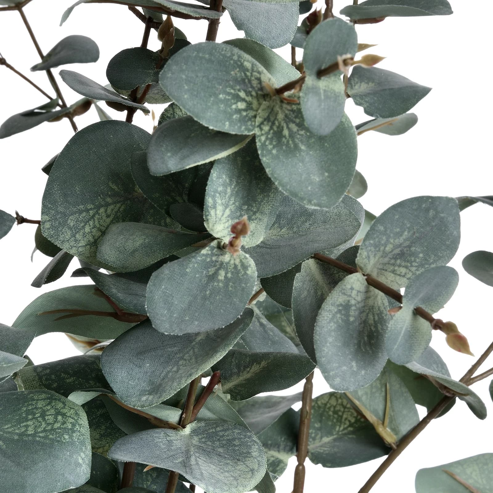 Variegated Eucalyptus — Pack of 3 - Artificial plants & flowers, photo 5 of 5