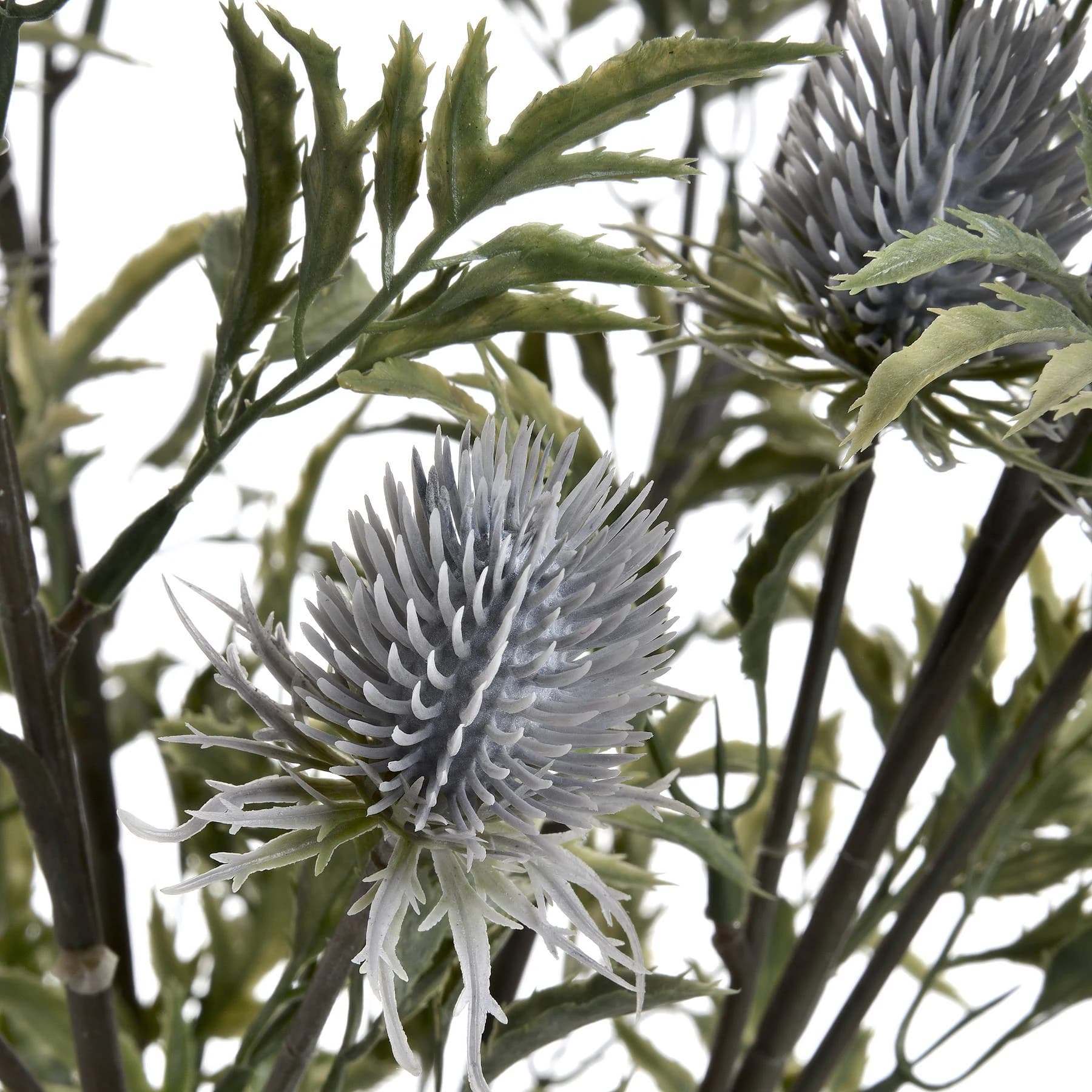 Eryngium Thistle — Pack of 5 - Artificial plants & flowers, photo 5 of 5
