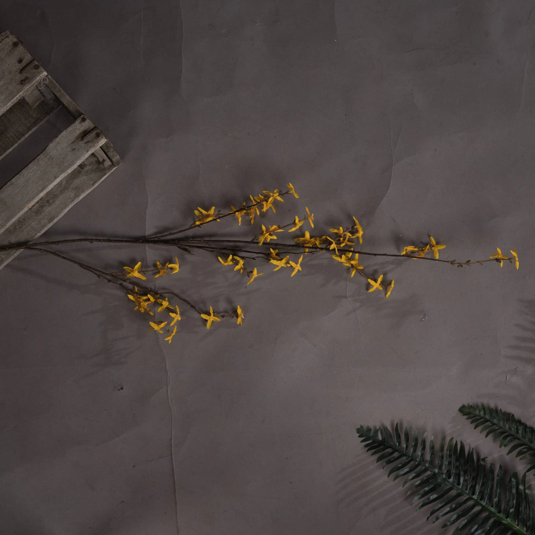 Forsythia — Pack of 5 - Artificial plants & flowers, photo 2 of 5