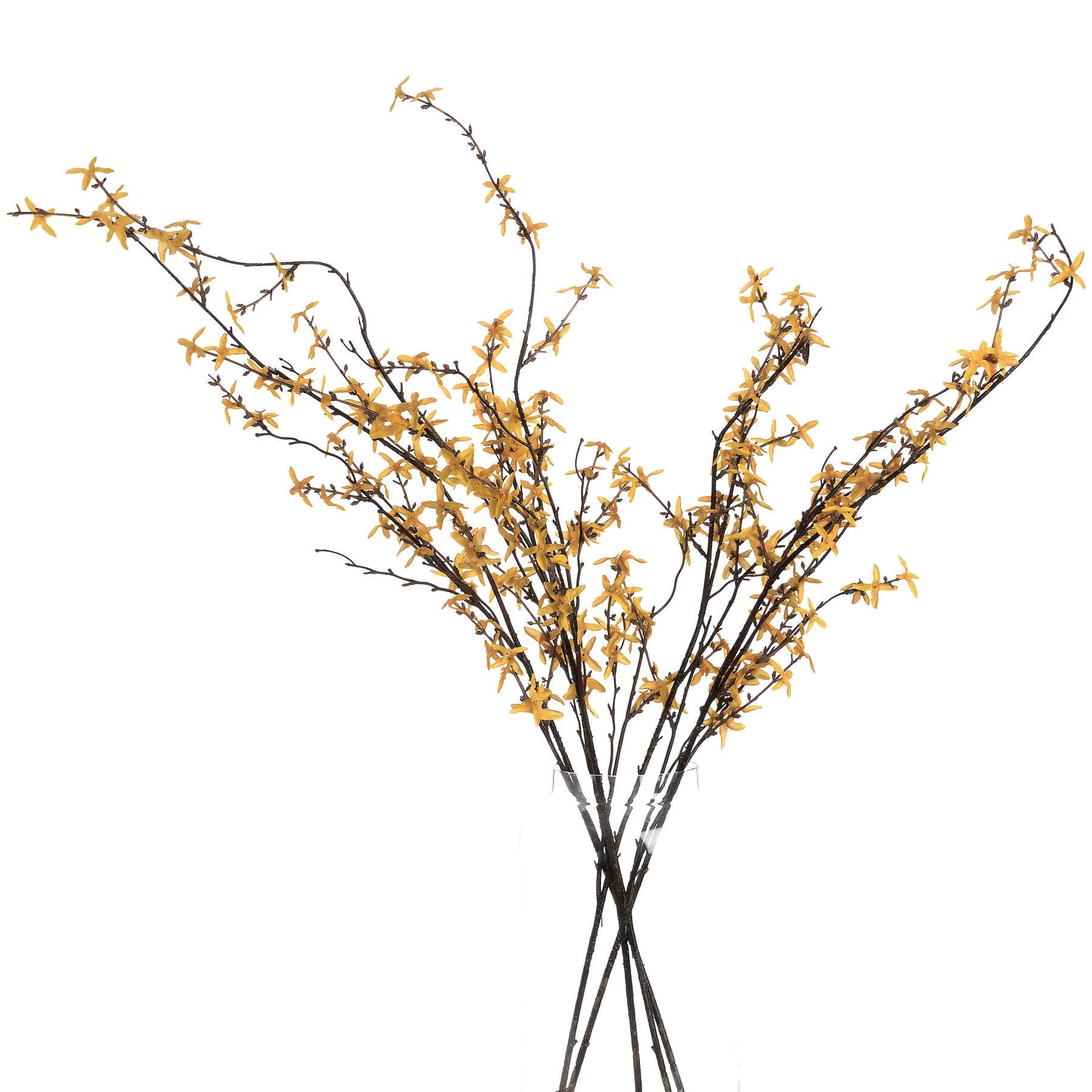 Forsythia — Pack of 5 - Artificial plants & flowers, photo 4 of 5