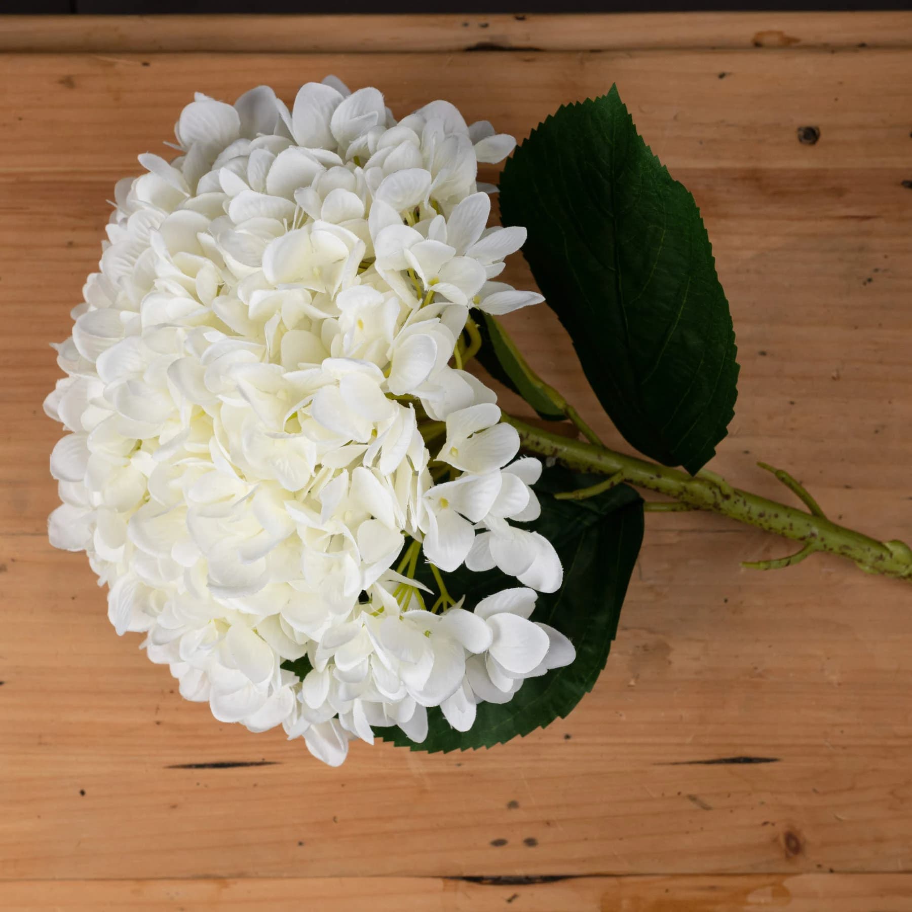 Oversized White Hydrangea — Pack of 3 - Artificial plants & flowers, photo 2 of 5