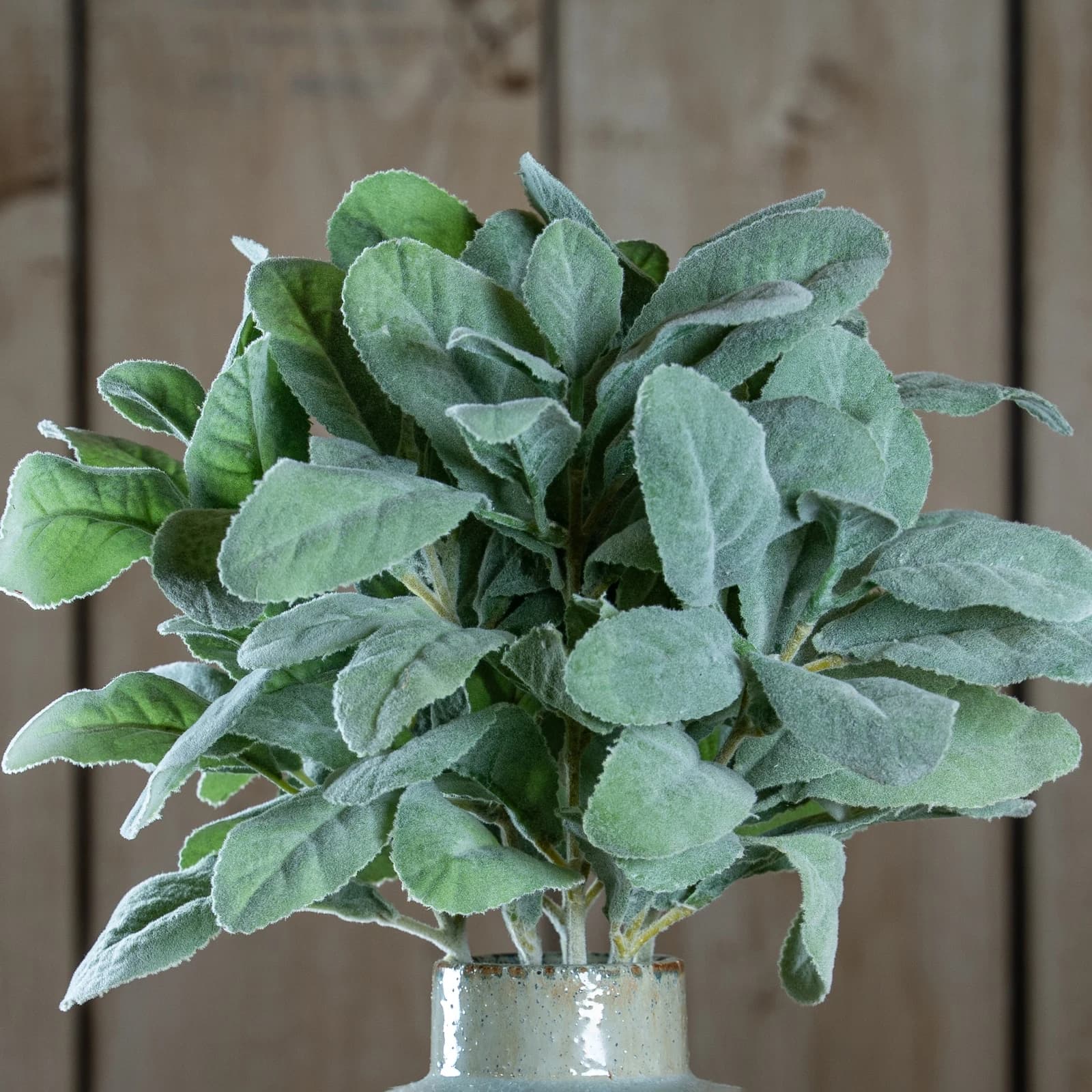 Lambs Ear Spray — Pack of 5 - Artificial plants & flowers, photo 2 of 6