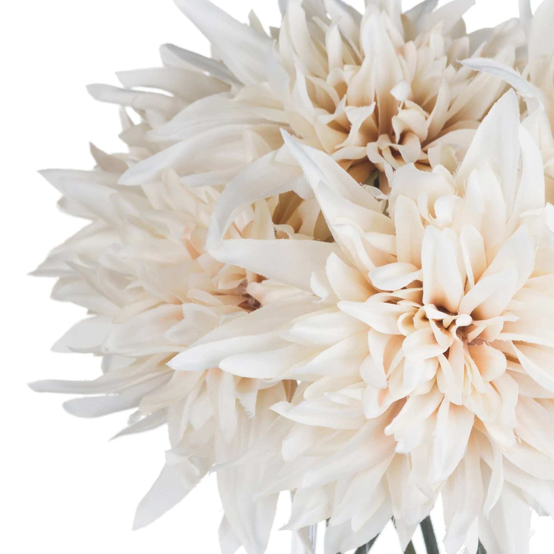 Café Au Lait — Pack of 5 - Artificial plants & flowers, photo 5 of 5