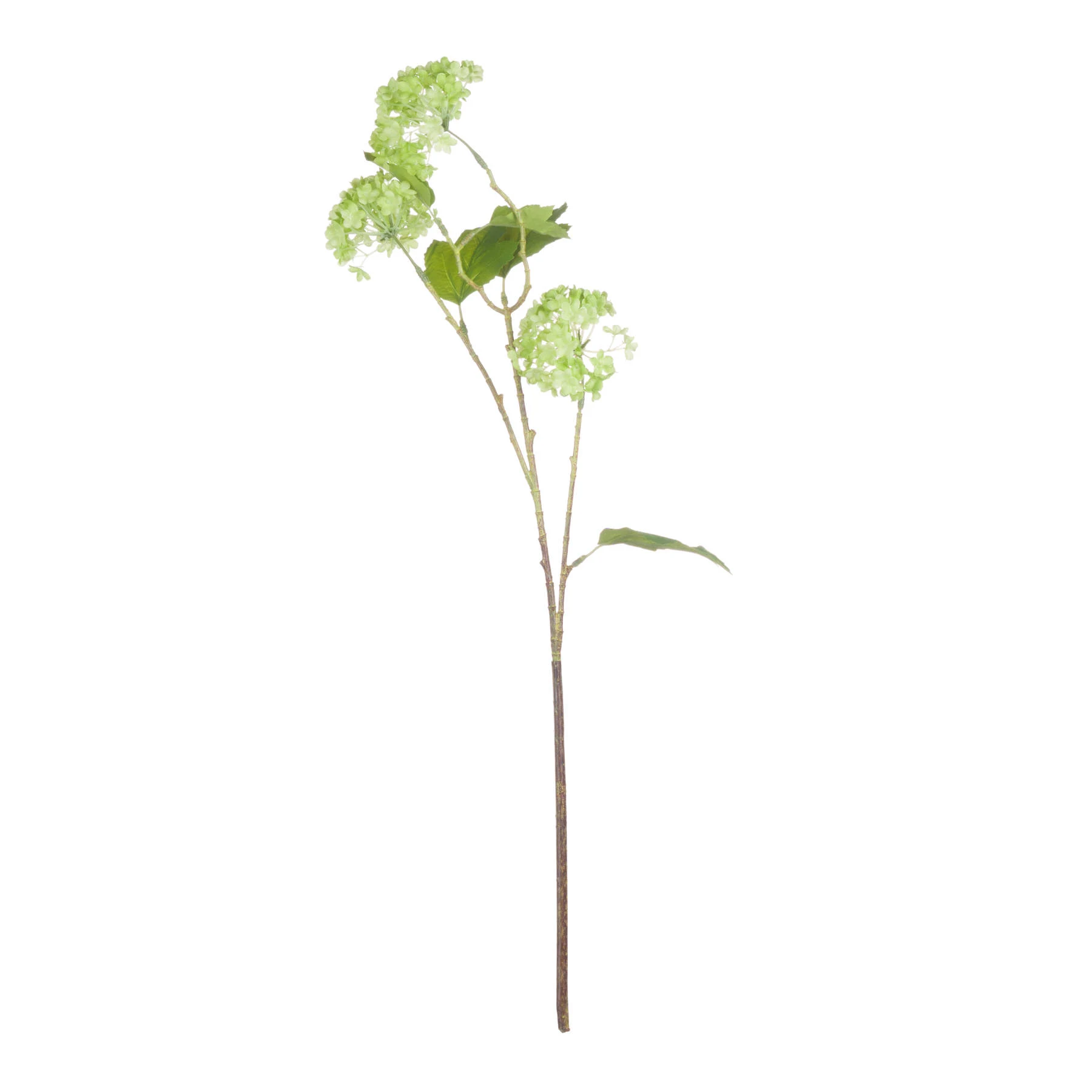 Green Viburnum Spray — Pack of 5 - Artificial plants & flowers, photo 4 of 5