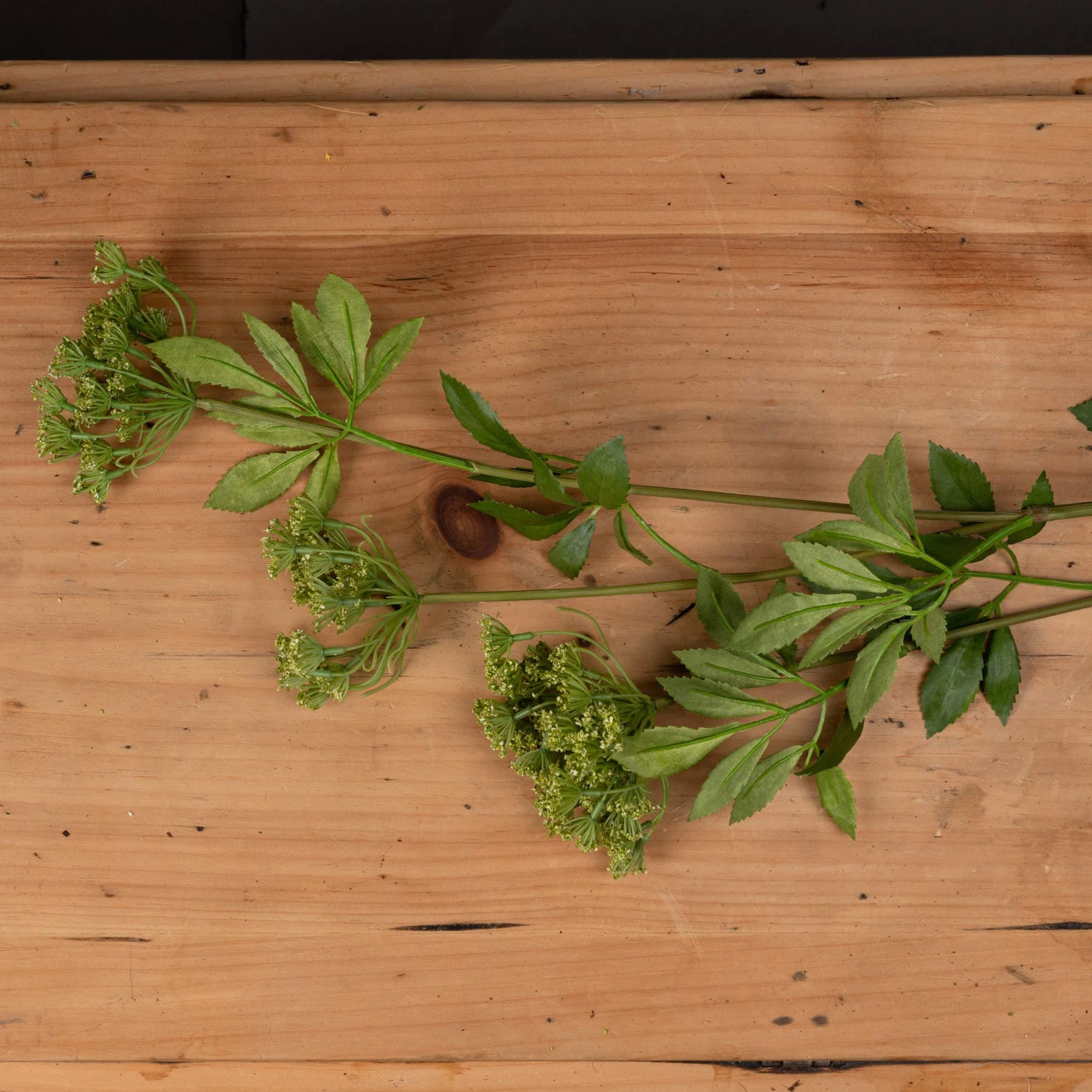Faux Cow Parsley Ammi — Pack of 3 - Artificial plants & flowers, photo 2 of 5