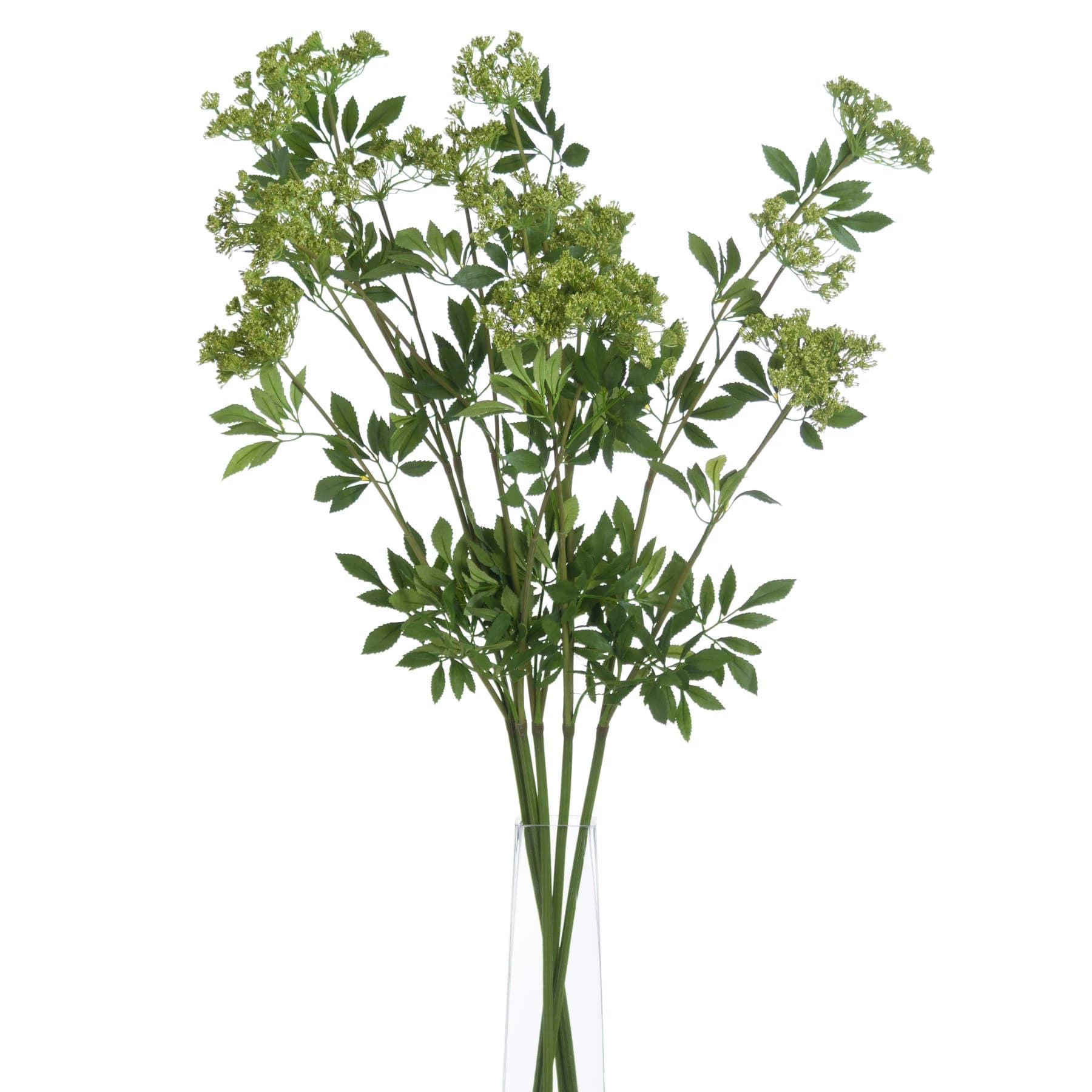 Faux Cow Parsley Ammi — Pack of 3 - Artificial plants & flowers, photo 3 of 5
