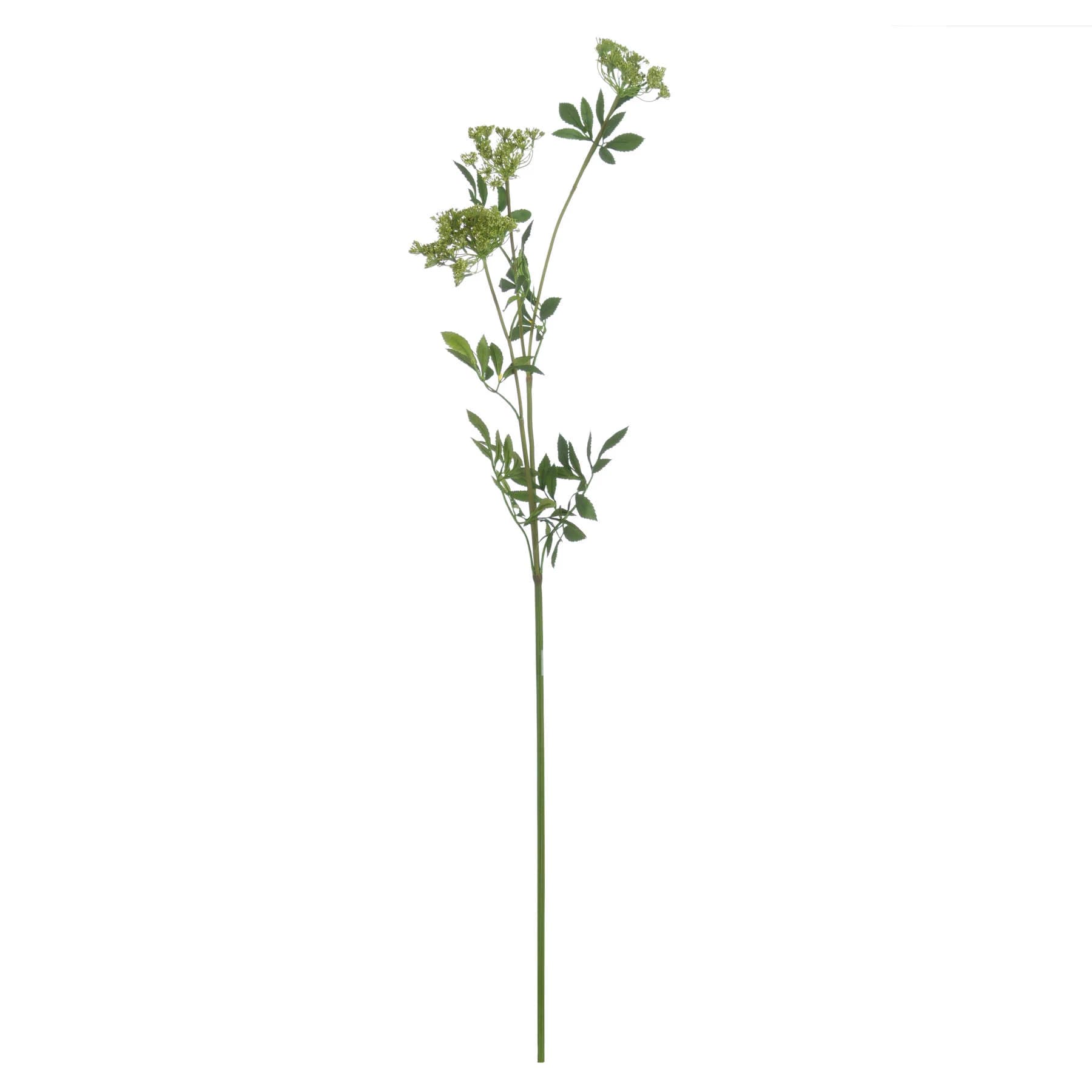 Faux Cow Parsley Ammi — Pack of 3 - Artificial plants & flowers, photo 4 of 5