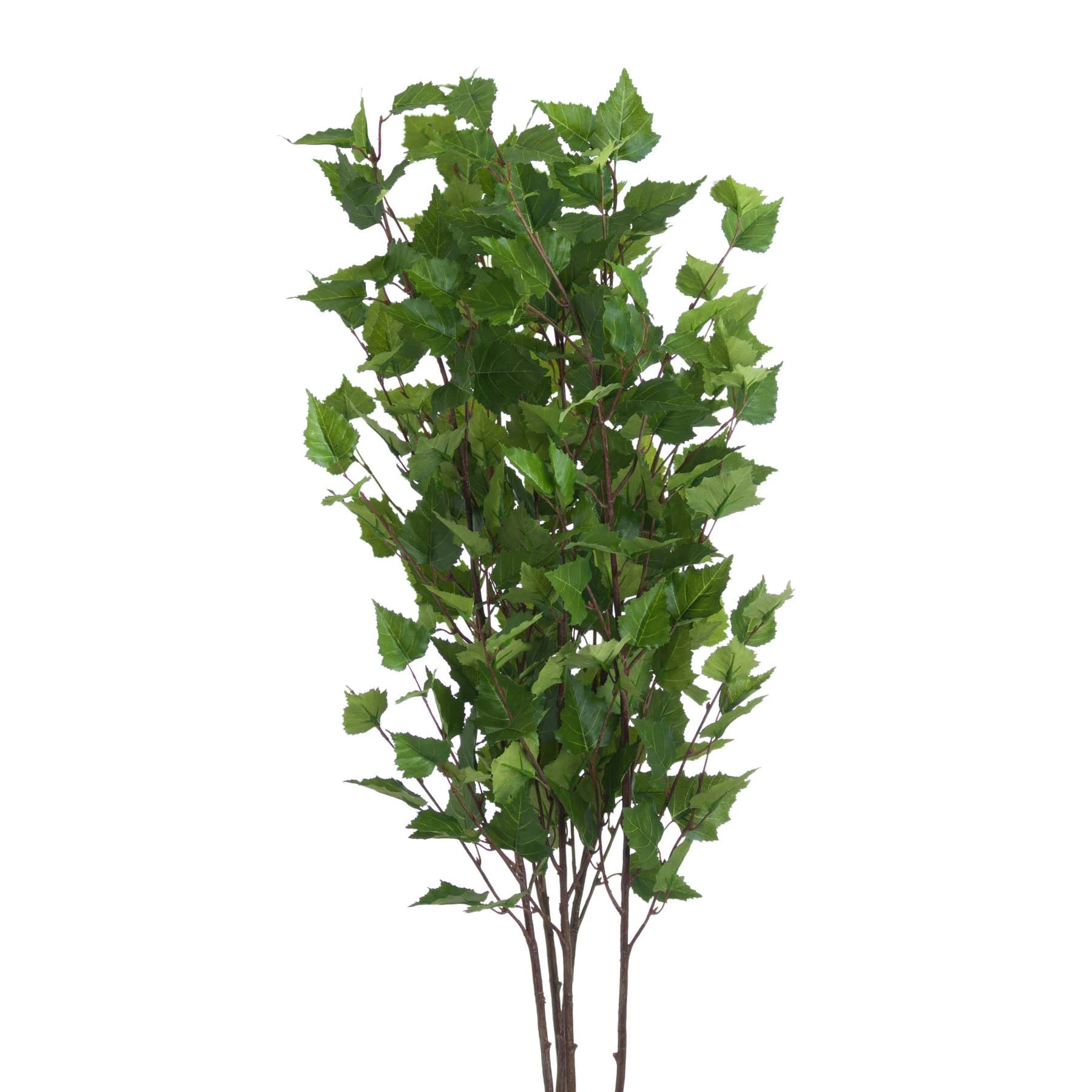 Green Branch Spray — Pack of 3 - Artificial plants & flowers, photo 3 of 5