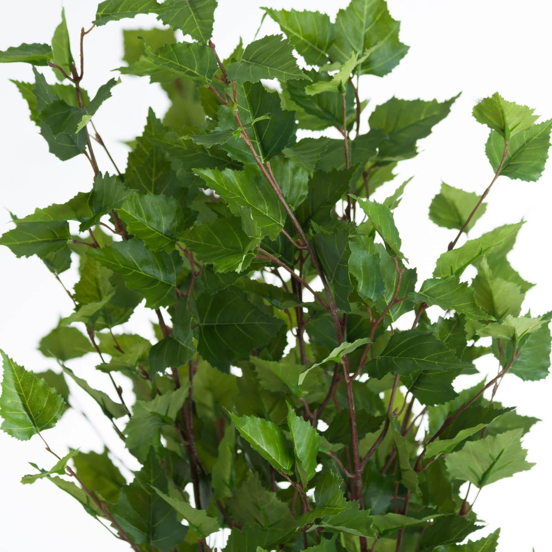 Green Branch Spray — Pack of 3 - Artificial plants & flowers, photo 5 of 5