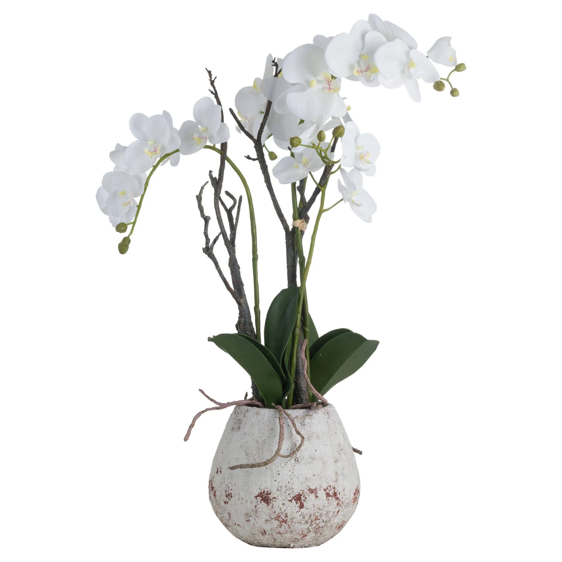 White Orchid In Stone Pot - Dining tables, photo 2 of 4
