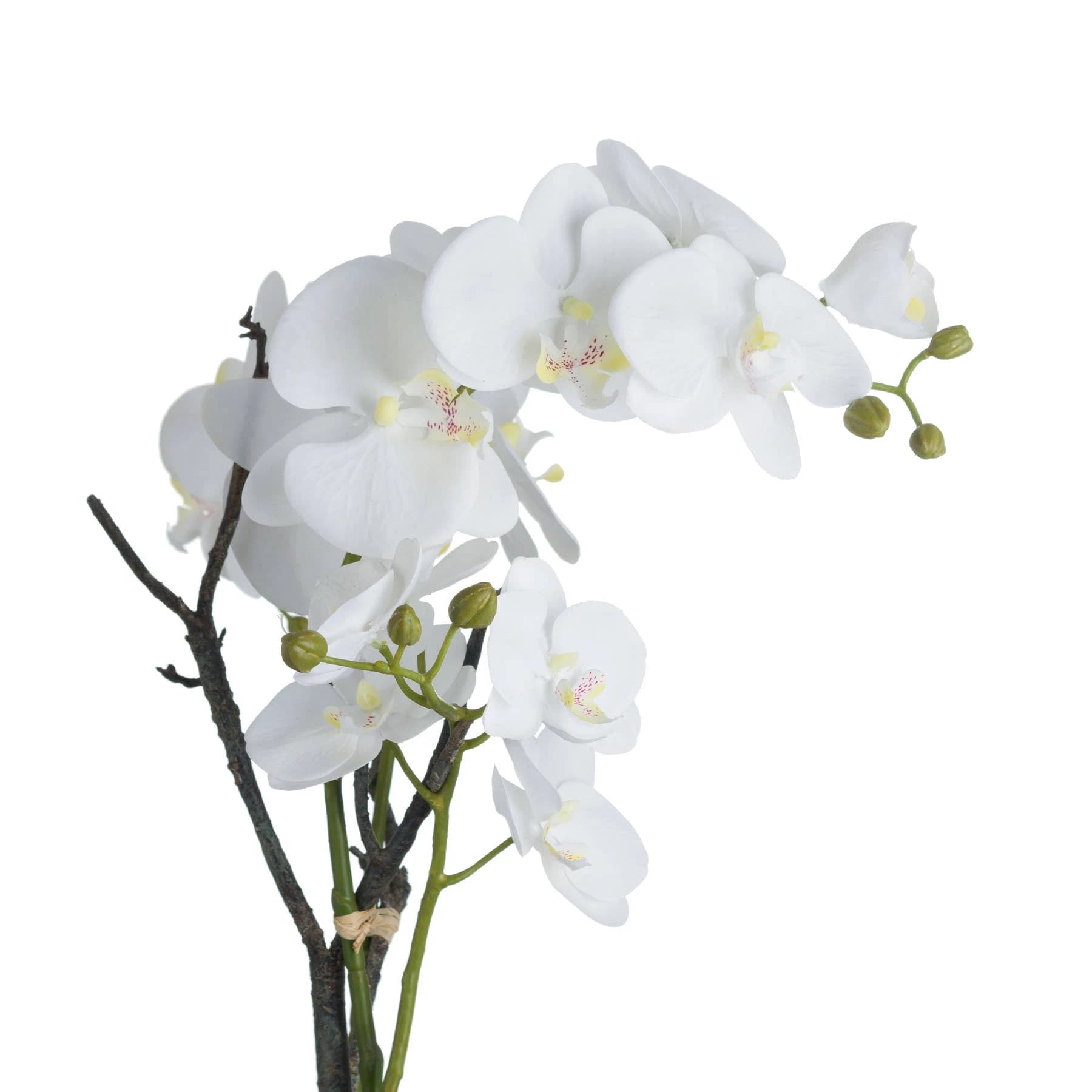 White Orchid In Stone Pot - Dining tables, photo 3 of 4